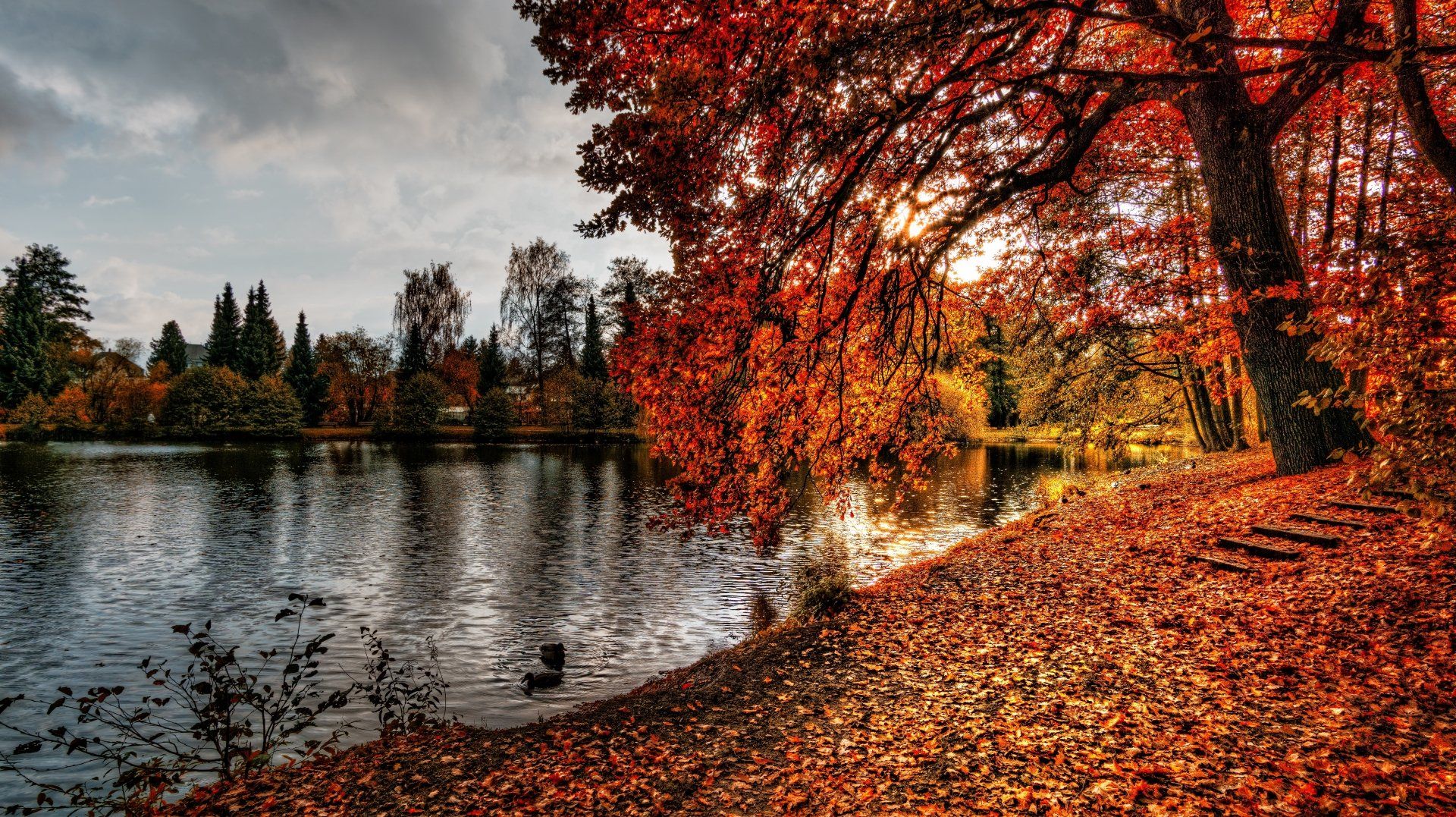 1920x1077 4K Ultra HD Autumn Lakeview: Vibrant Fall Trees