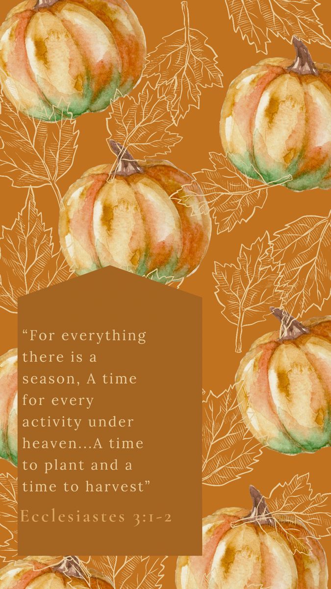 675x1200 Fall Wallpaper Ecclesiastes 3:1 2