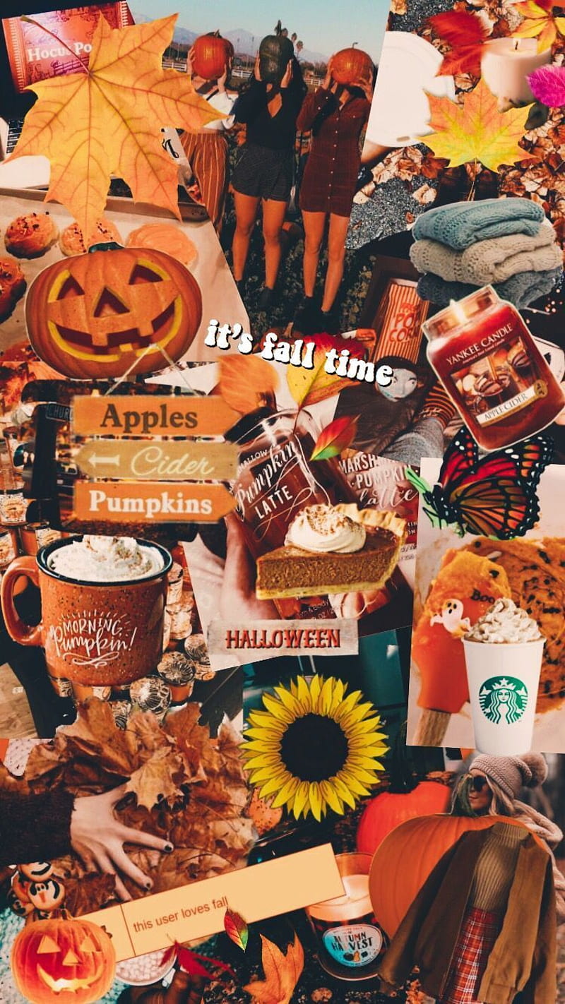 800x1422 Fall, autumn, halloween, HD phone wallpaper