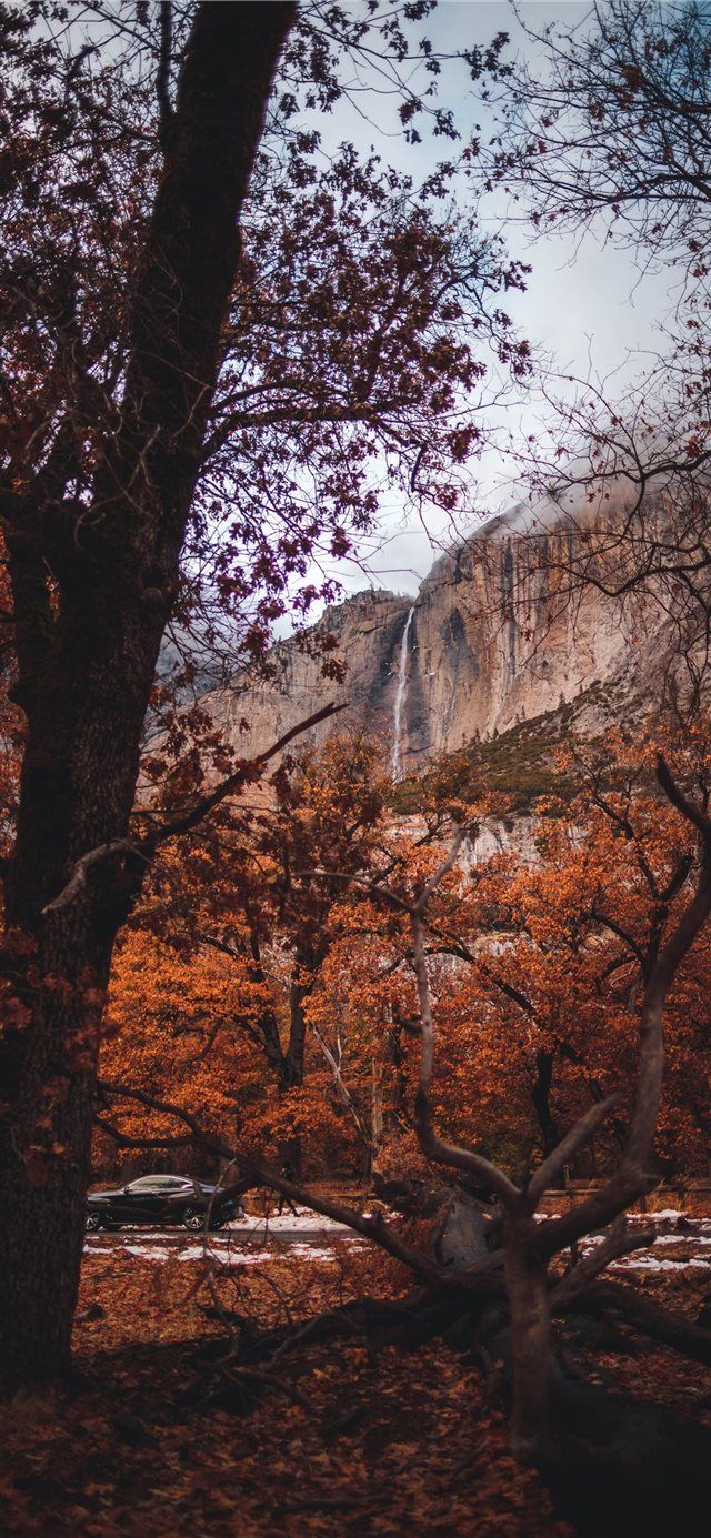 640x1385 First time in Yosemite iPhone X Wallpaper Free Download
