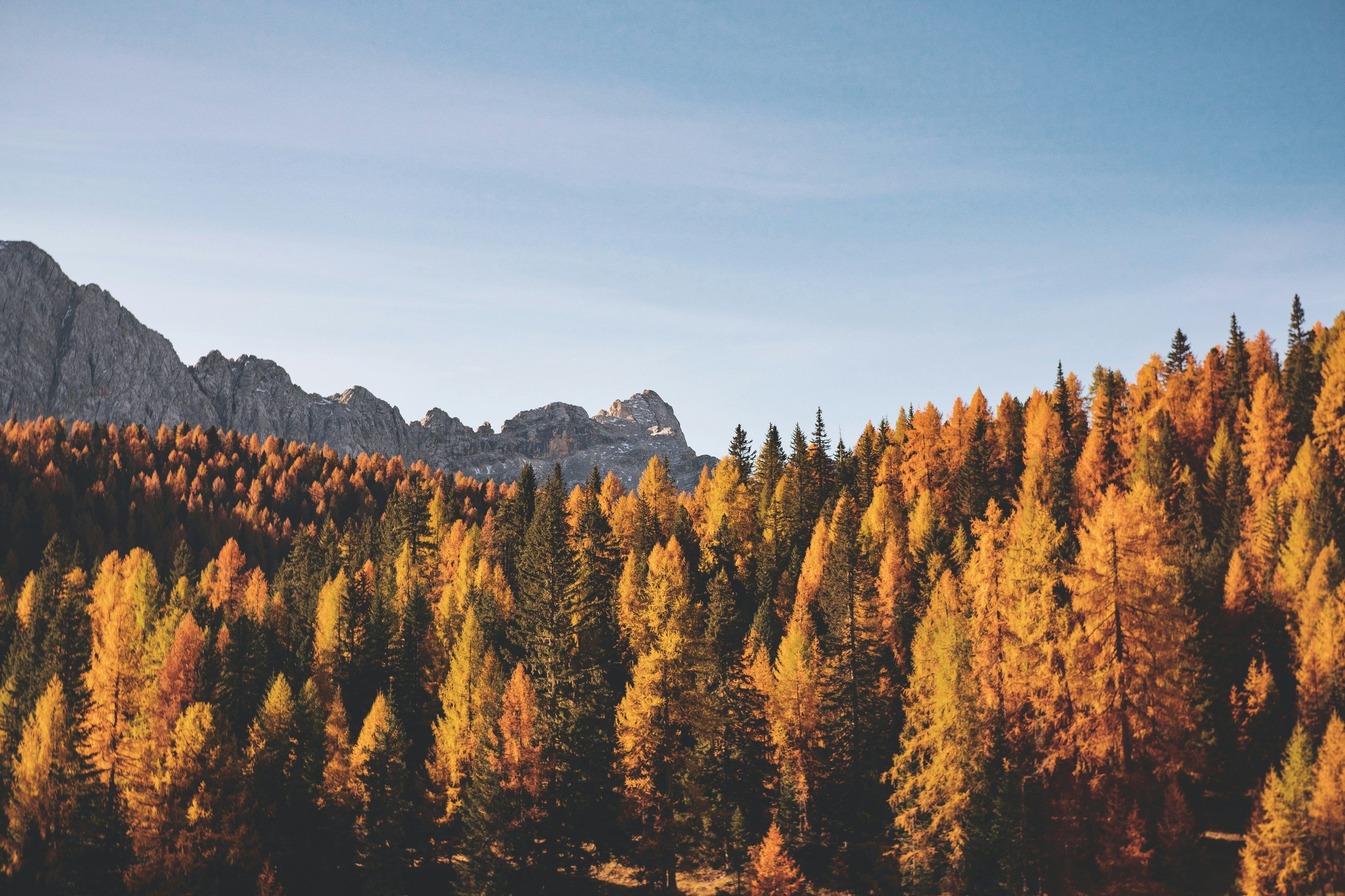 3000x2000 Fall Time Picture. Download Free Image