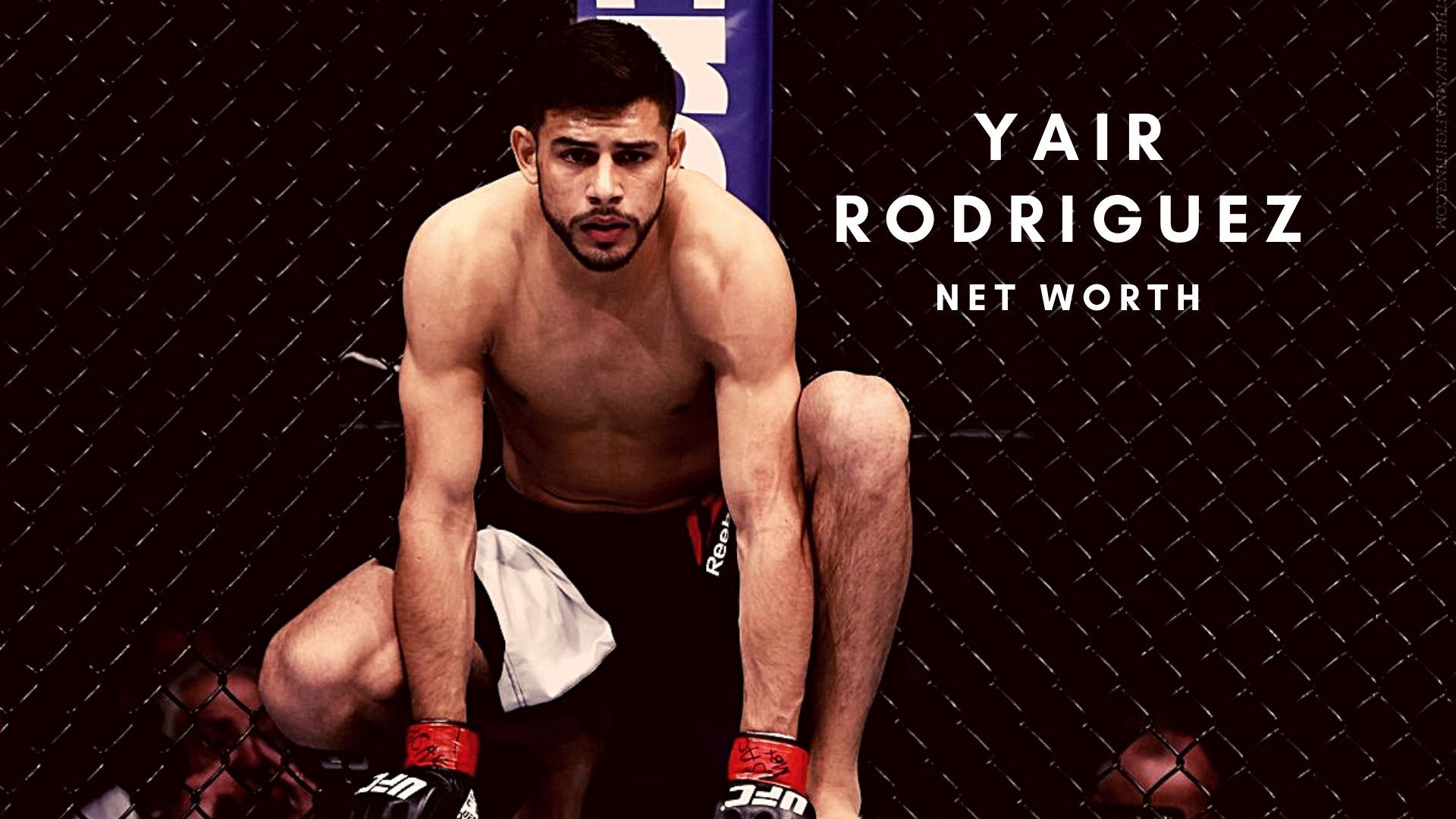 1920x1080 Yair Rodríguez Wallpaper