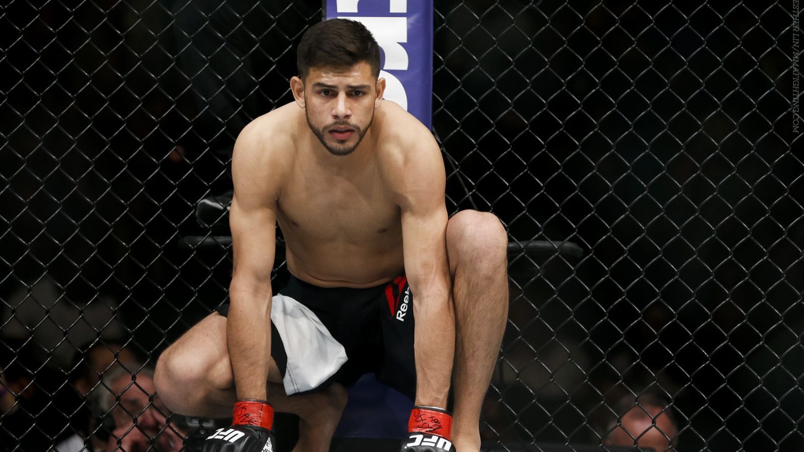 1600x900 UFN 103: Rodriguez focused on present, not past or future