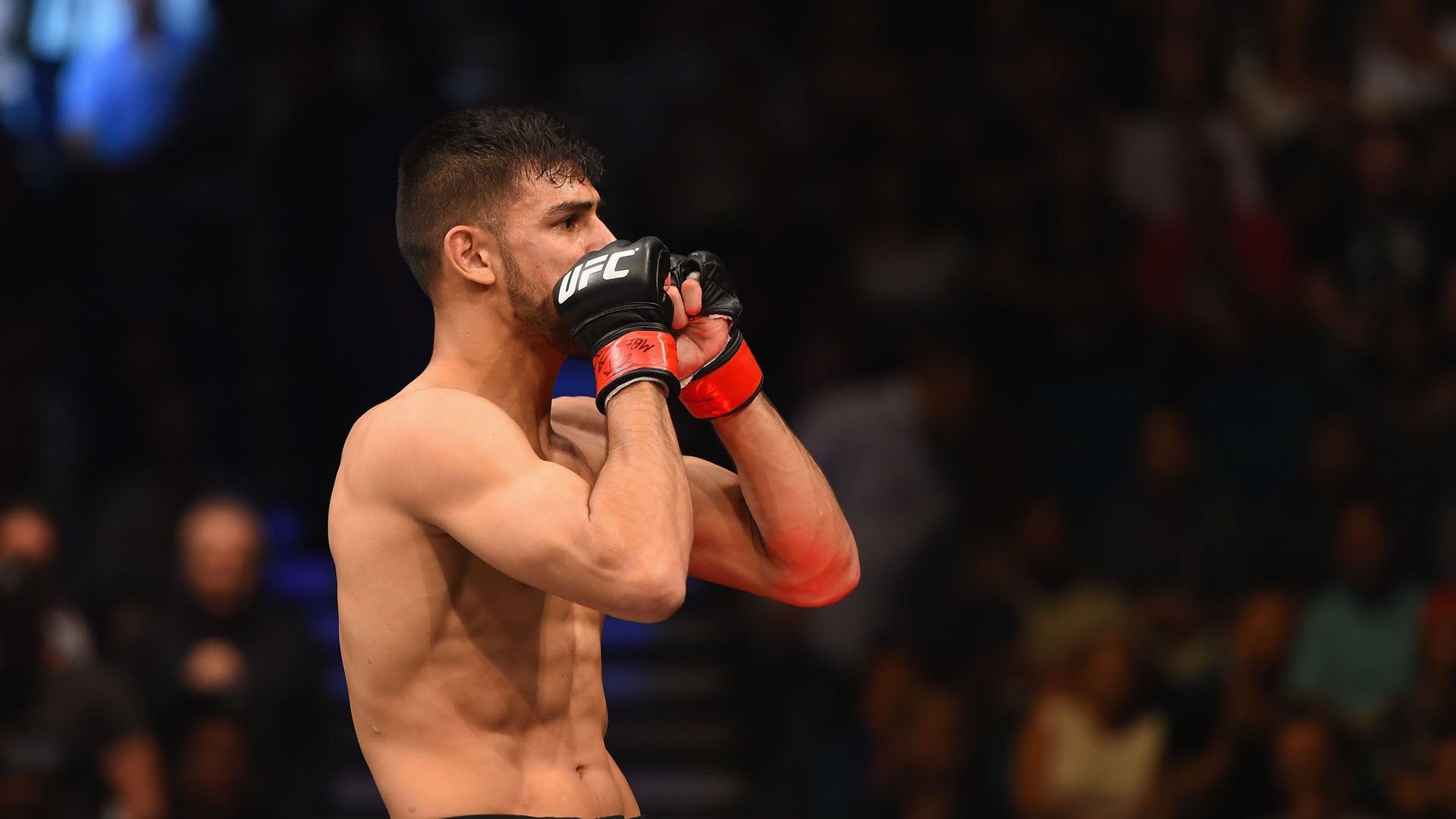1920x1080 Best Finishes From Saturday's Fighters. UFC Fight Night: Hollway vs Rodriguez