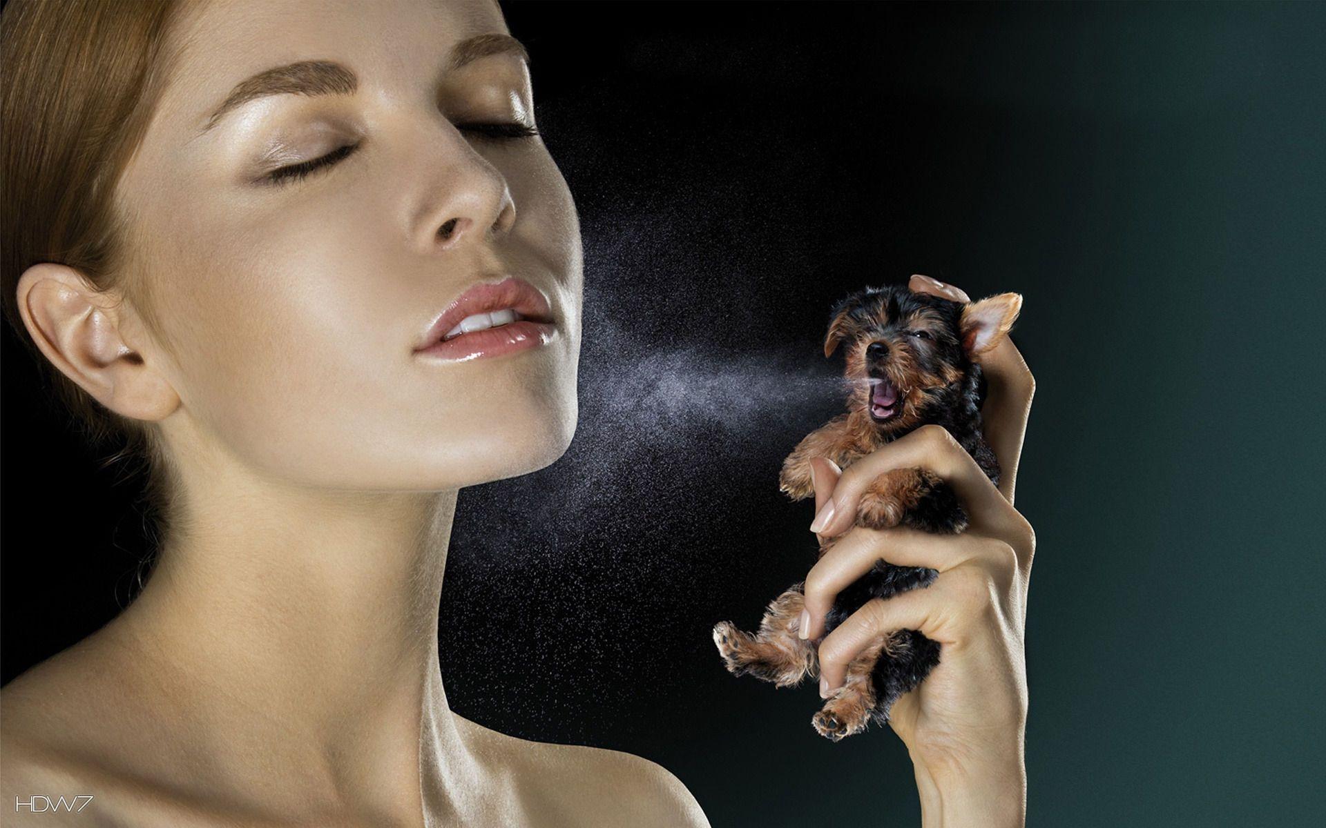 1920x1200 funny dog perfume girl 1920x1200. HD wallpaper gallery