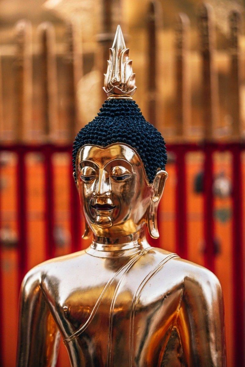 800x1200 Hi Res Buddha Photo That Will Amaze And Inspire You