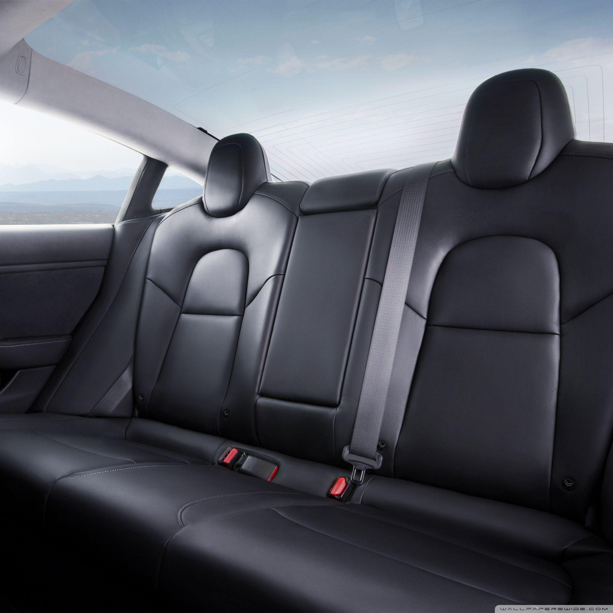 2048x2048 Tesla Model 3 Electric Car Rear Seat Ultra HD Desktop Background Wallpaper for 4K UHD TV : Widescreen & UltraWide Desktop & Laptop