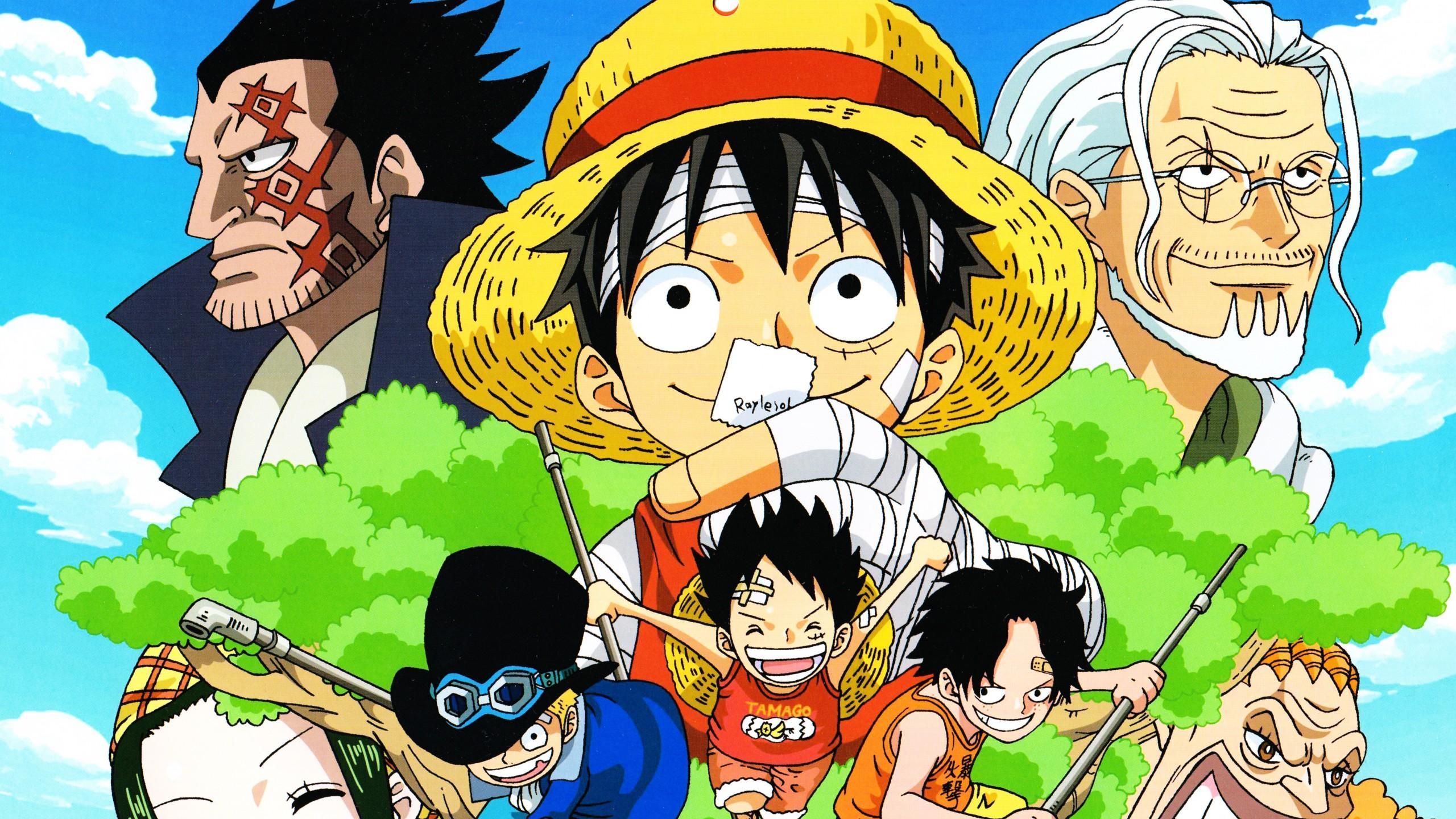 2560x1440 One Piece Laptop Wallpaper