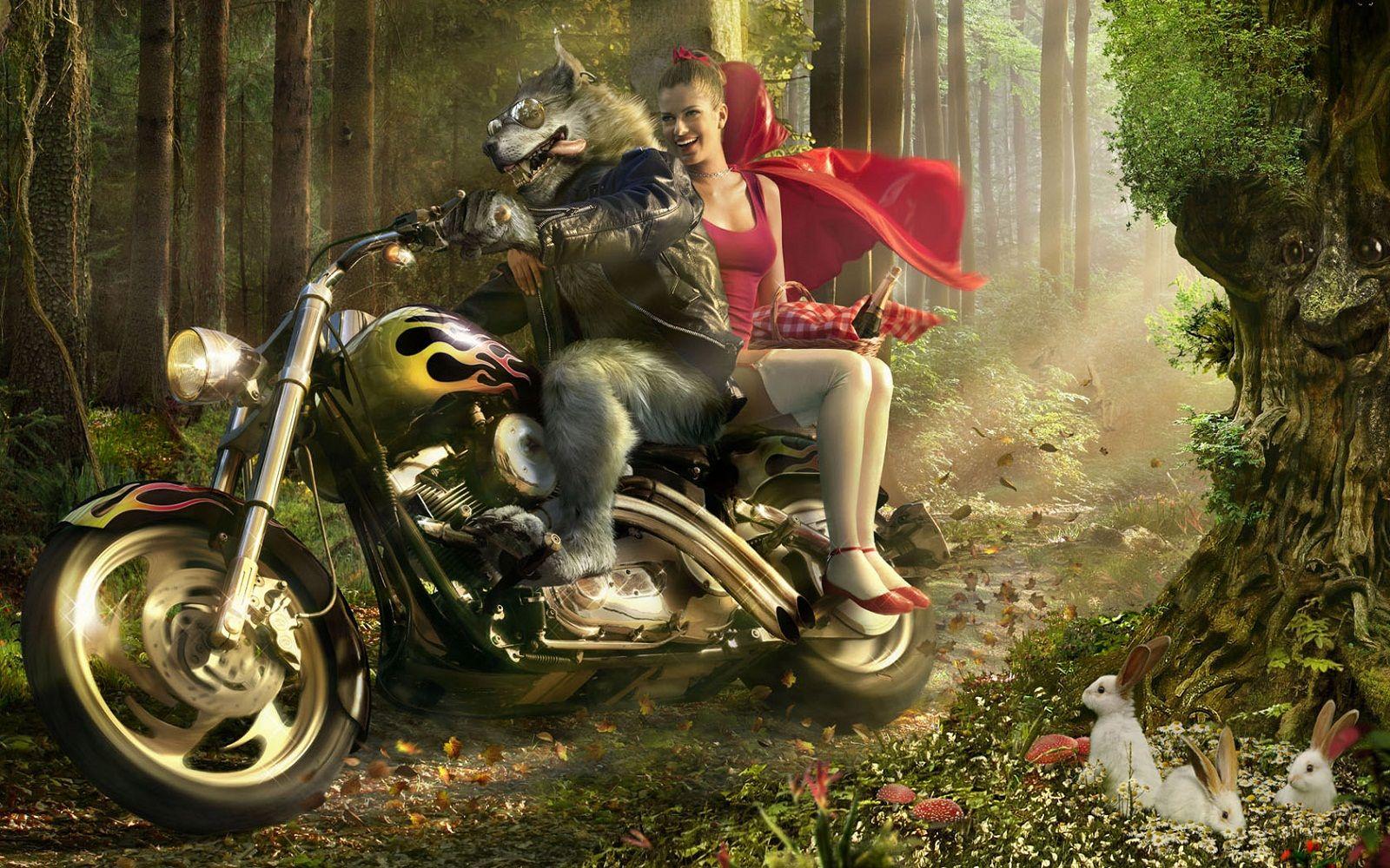 1600x1000 Animal Driver and Beautiful Girls Partner Funny 3D Wallpaper. HD