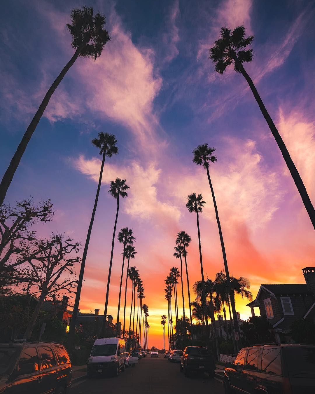 1080x1350 Wallpaper Sunset Boulevard Street