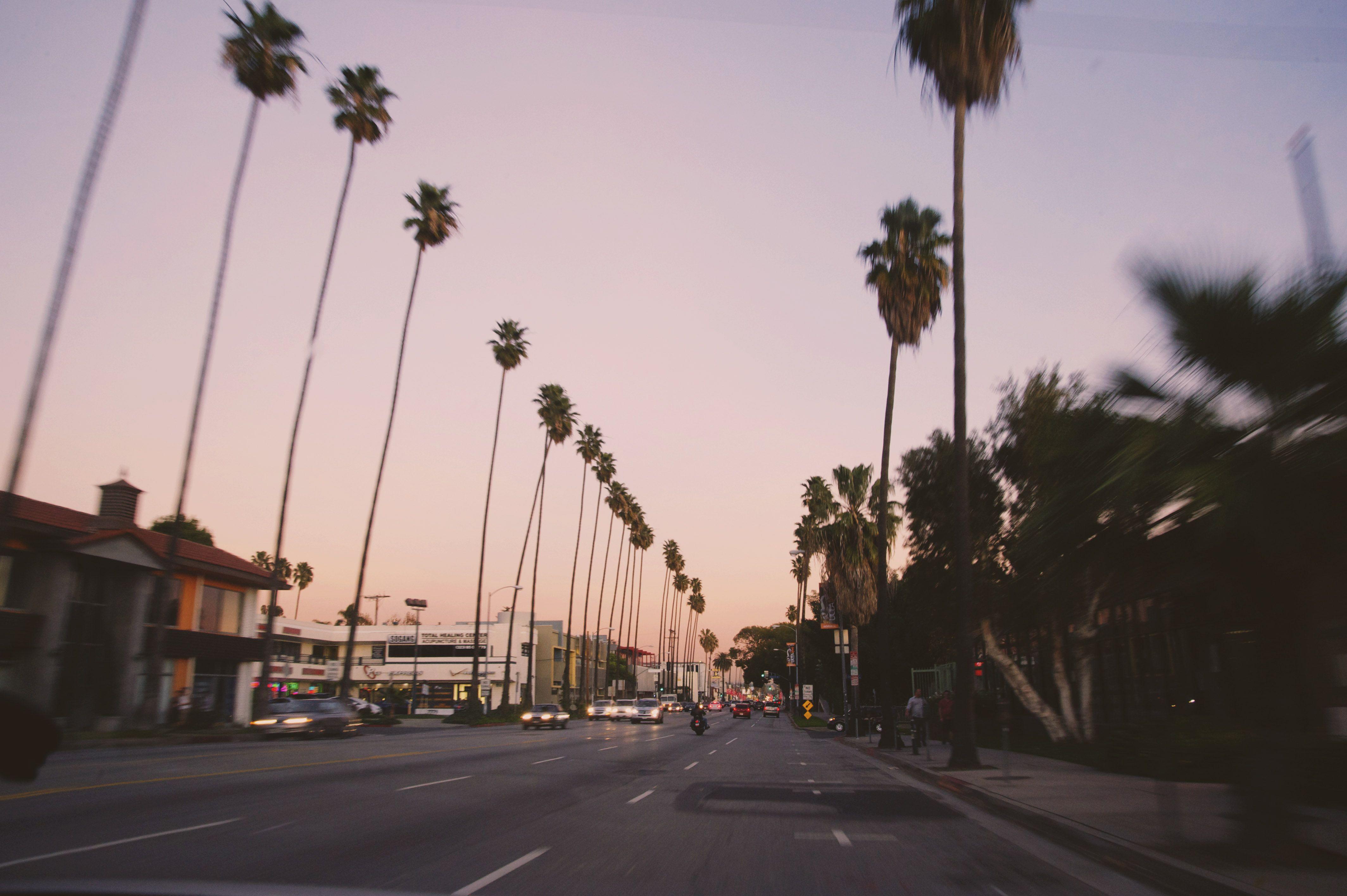 4256x2832 Wallpaper Sunset Boulevard Los Angeles