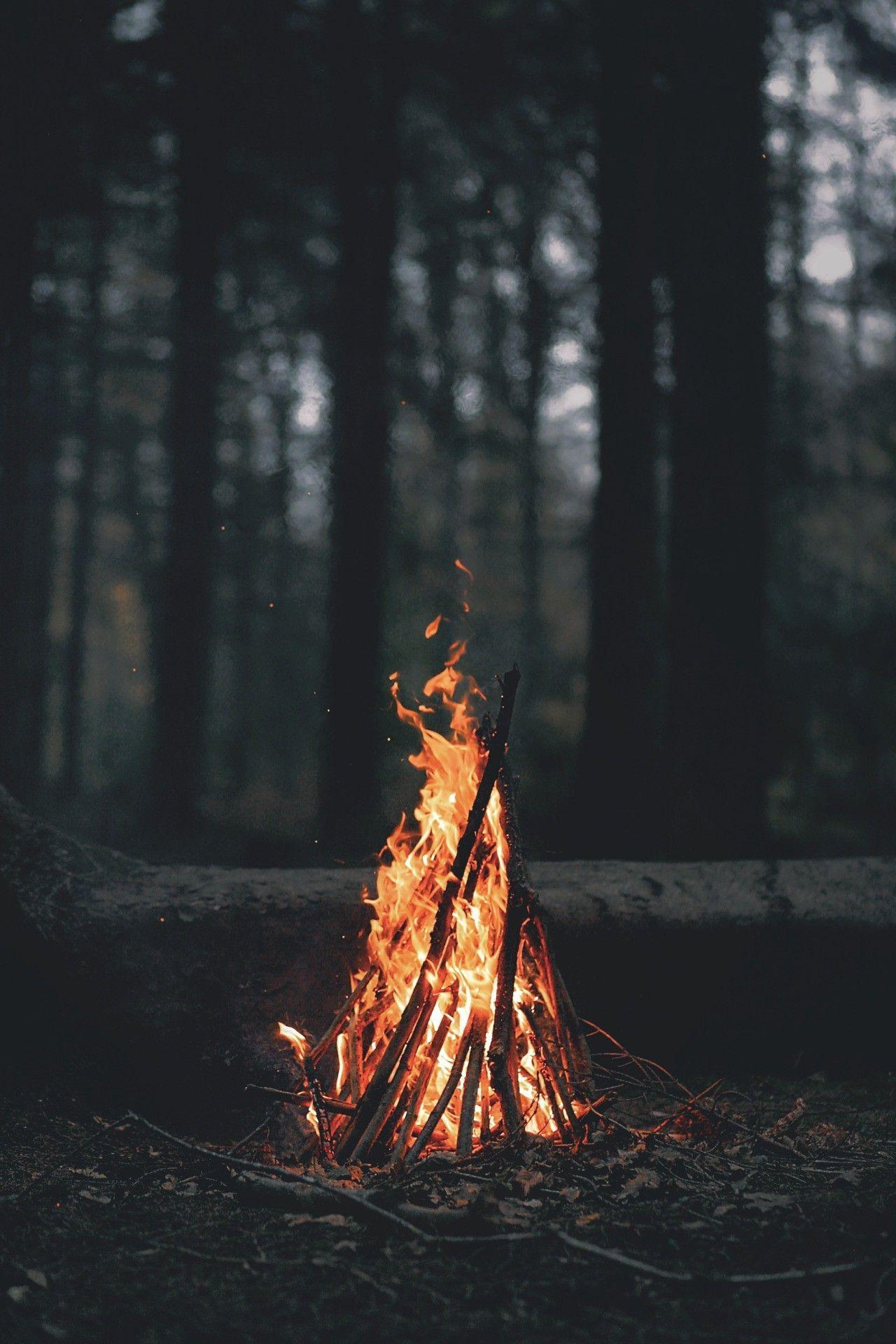 1280x1920 Autumn Fire Wallpaper