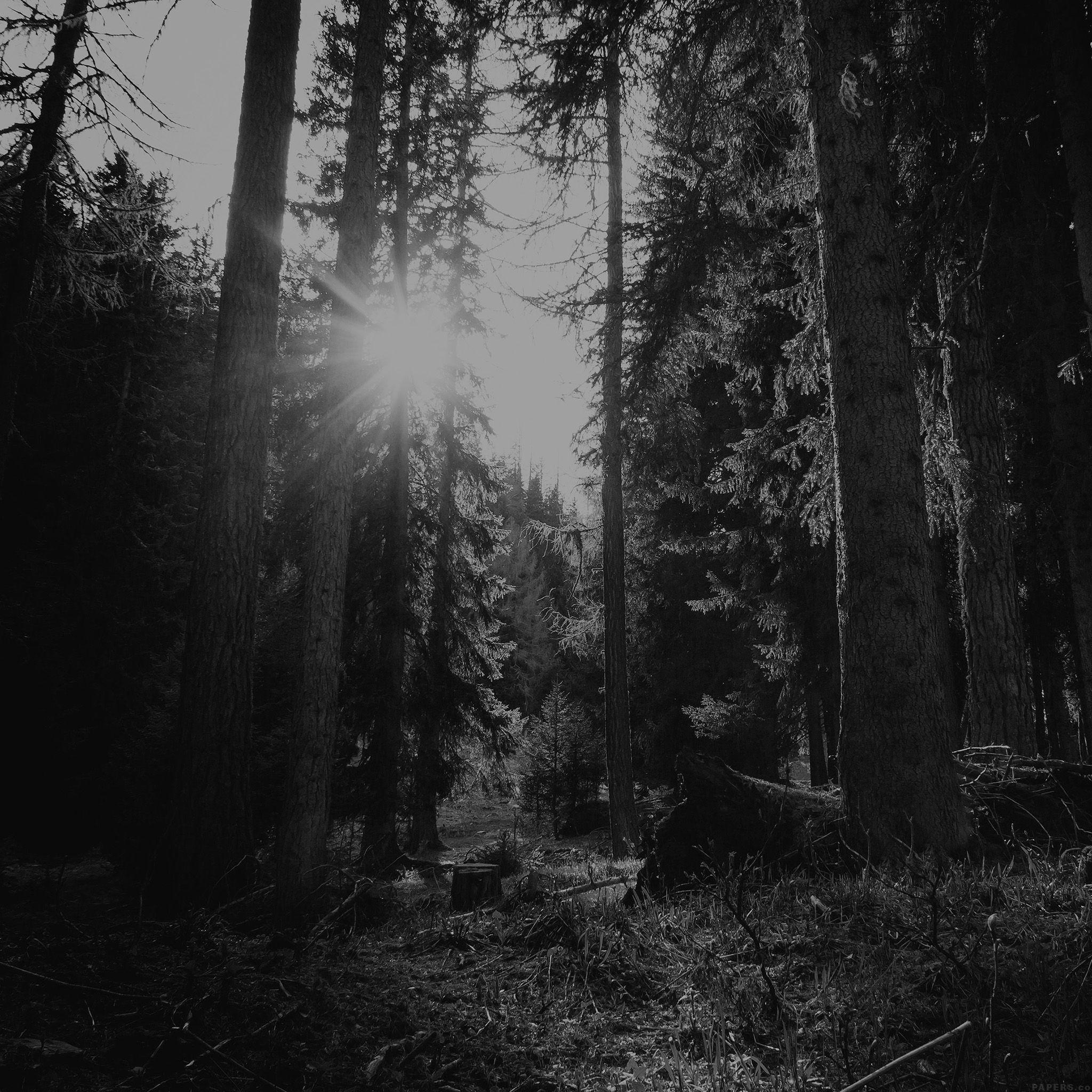 2048x2048 Black And White Vertical Wallpaper HD Wallpaper & Background Download