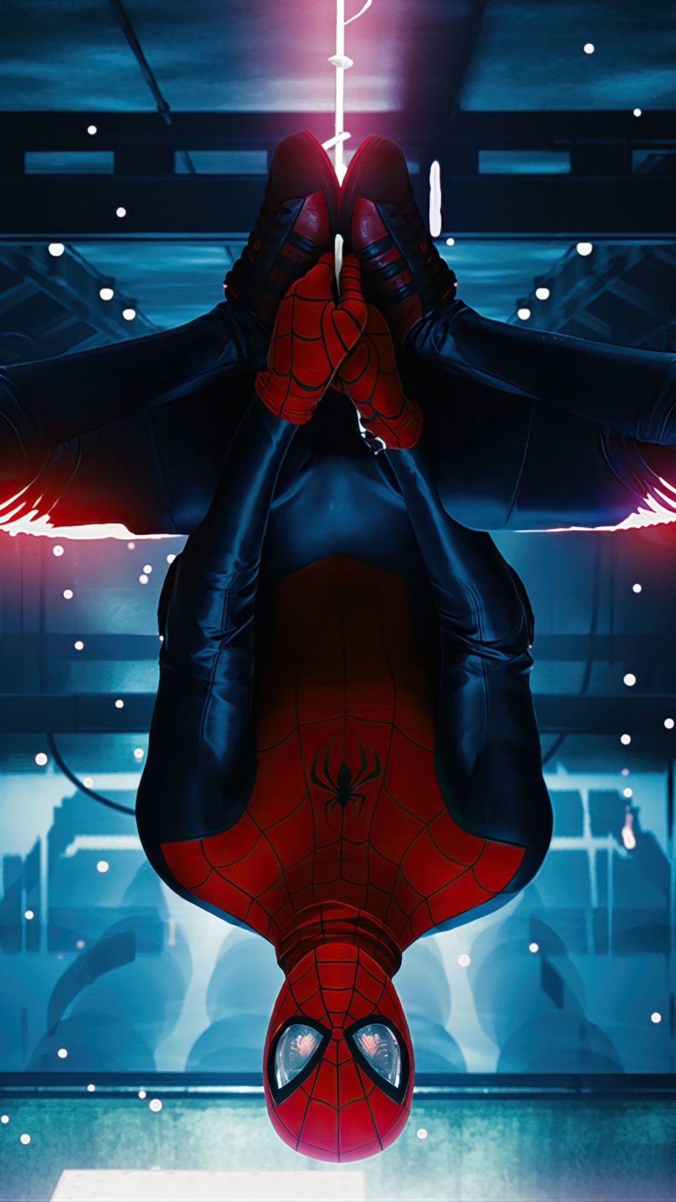 950x1689 Spider Man Miles Morales Hanging Upside Down 4K Ultra HD Mobile Wallpaper