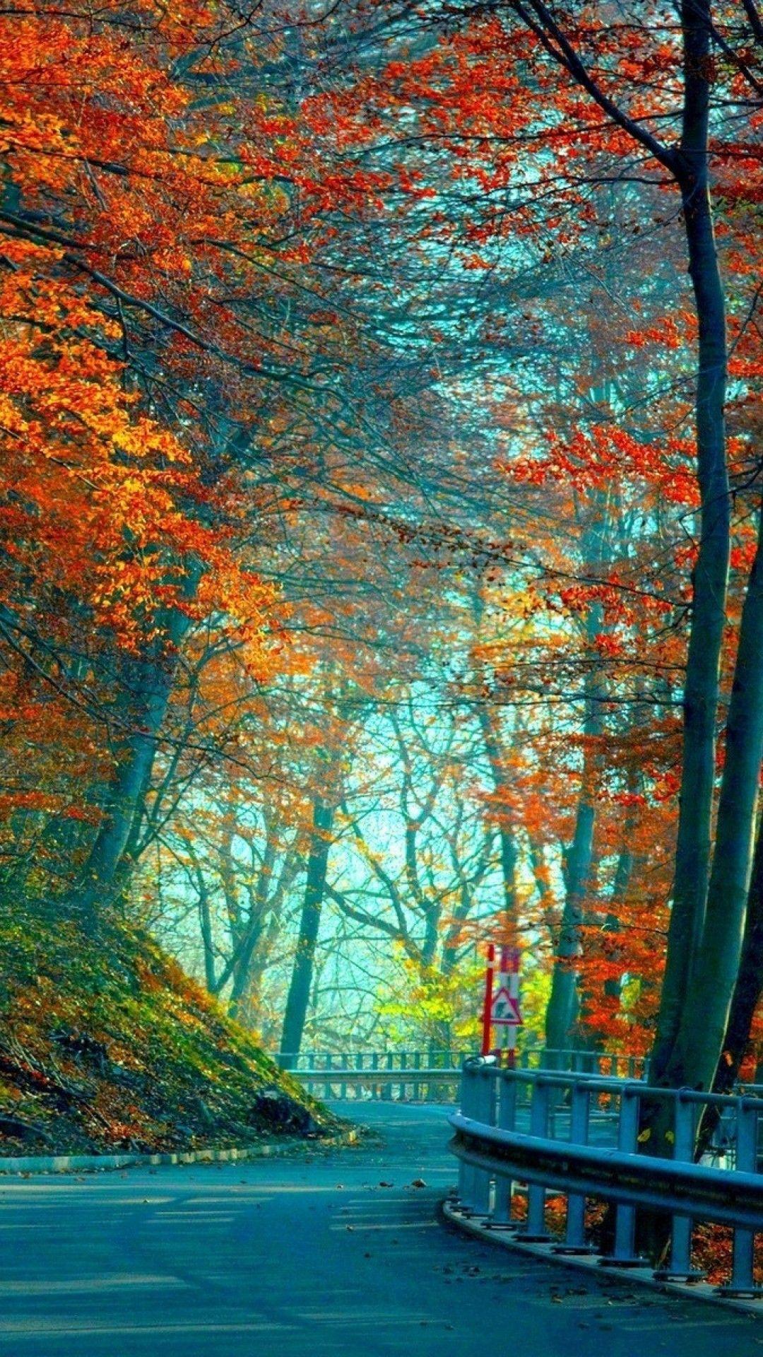 1080x1920 Seasons HD Wallpaper for Xiaomi Redmi Note 3. Wallpaper .Picture
