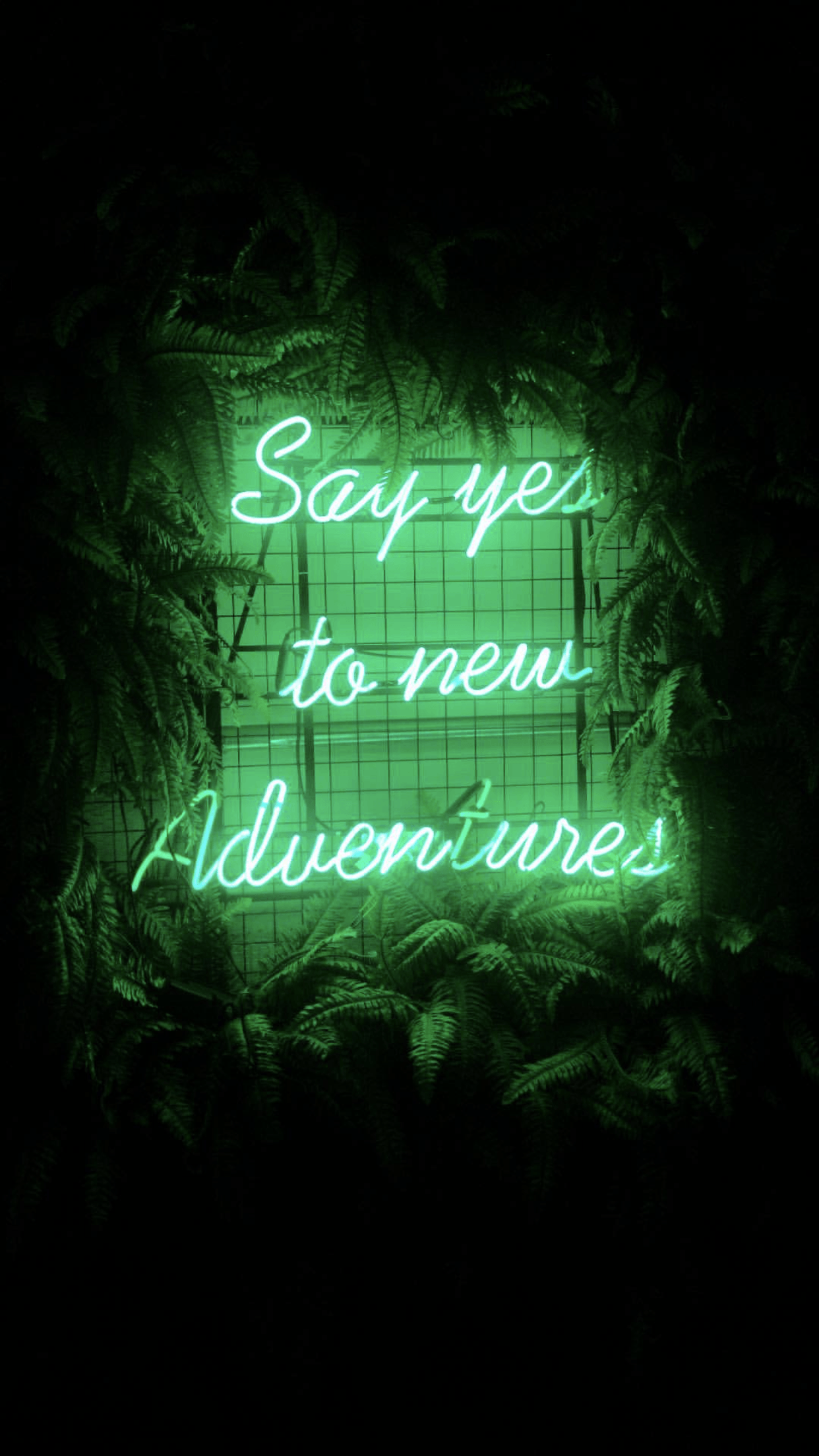 Black And Green Aesthetic Wallpapers Top Free Black And Green 4855817