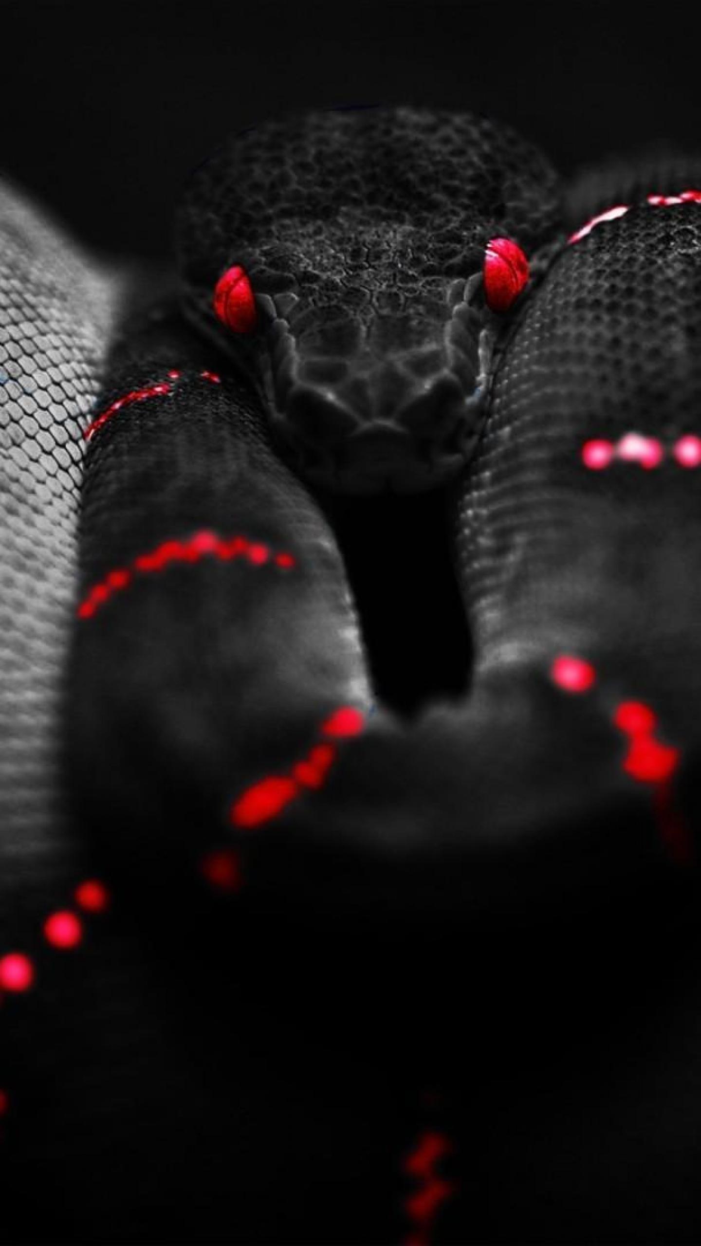 1440x2560 Black Aesthetic Background