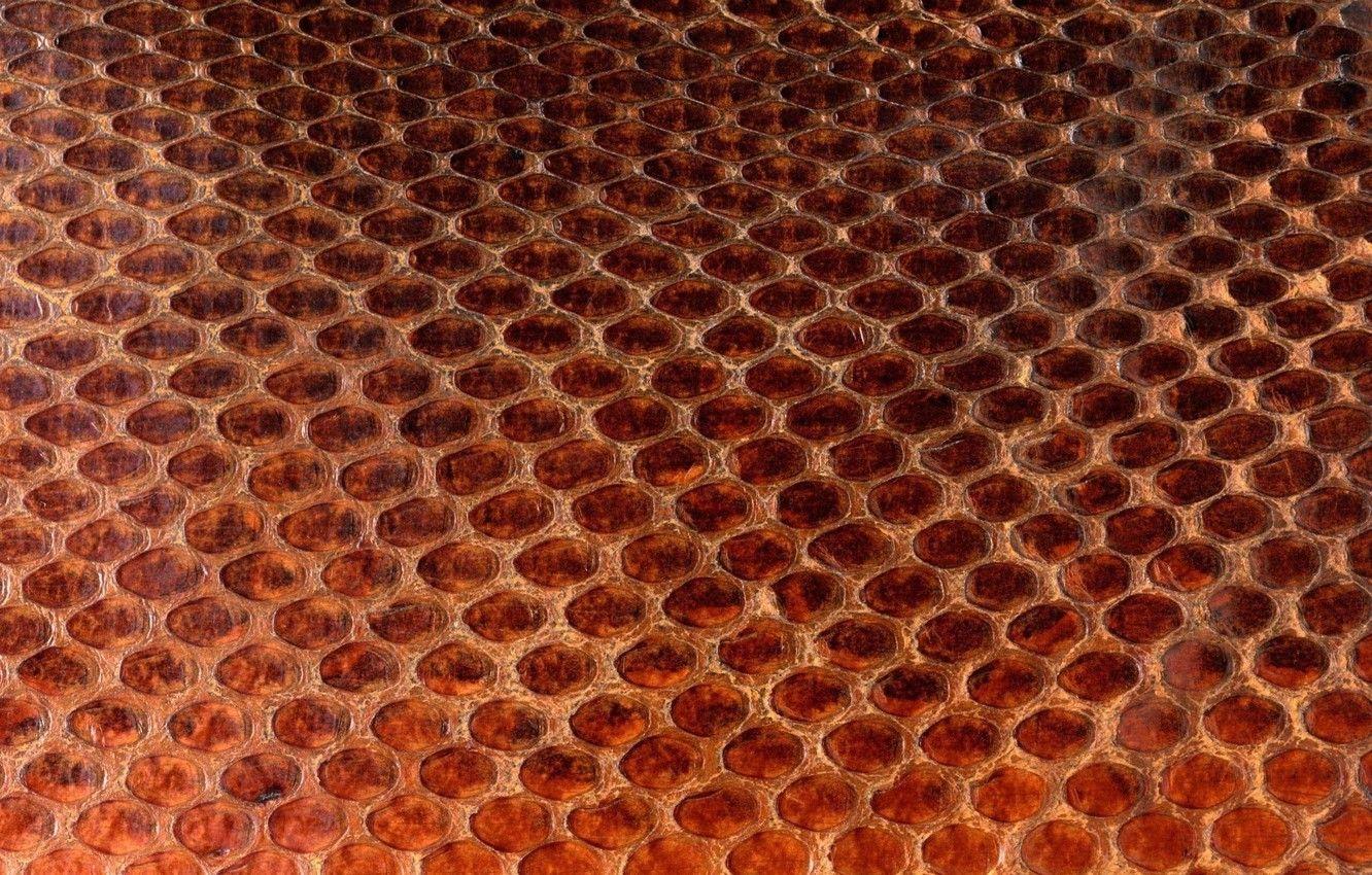 1332x850 Wallpaper texture, leather, animal texture, background desktop, the scales of a snake image for desktop, section текстуры