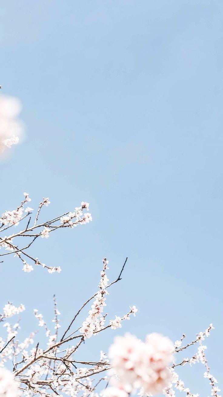 736x1307 Sky Blue. Sky aesthetic, Blue aesthetic pastel, Blue aesthetic