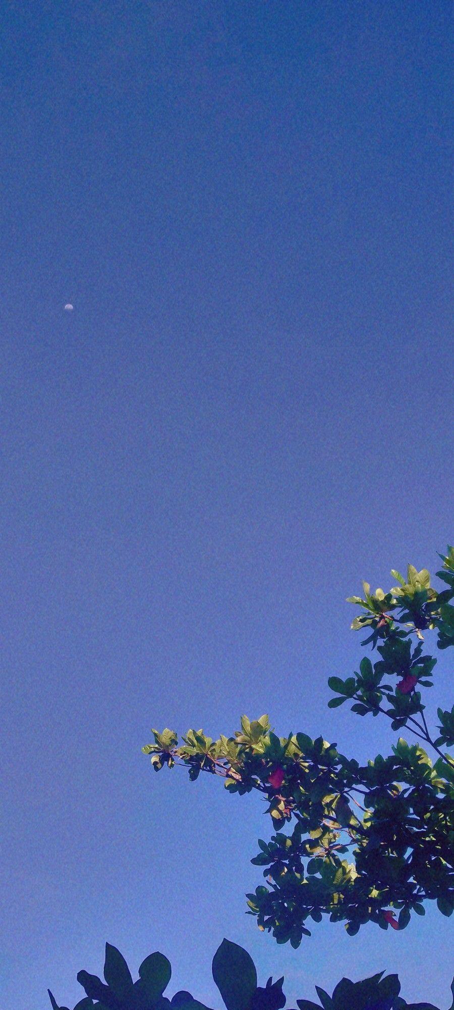 900x2000 Aesthetic wallpaper. Blue sky wallpaper, Sky aesthetic, Dark blue wallpaper