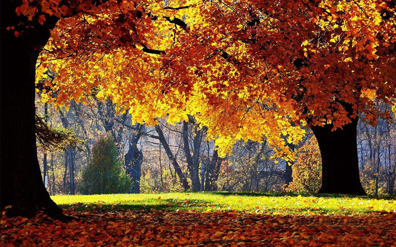 1280x800 Drunk beautiful late autumn the charming landscape photography