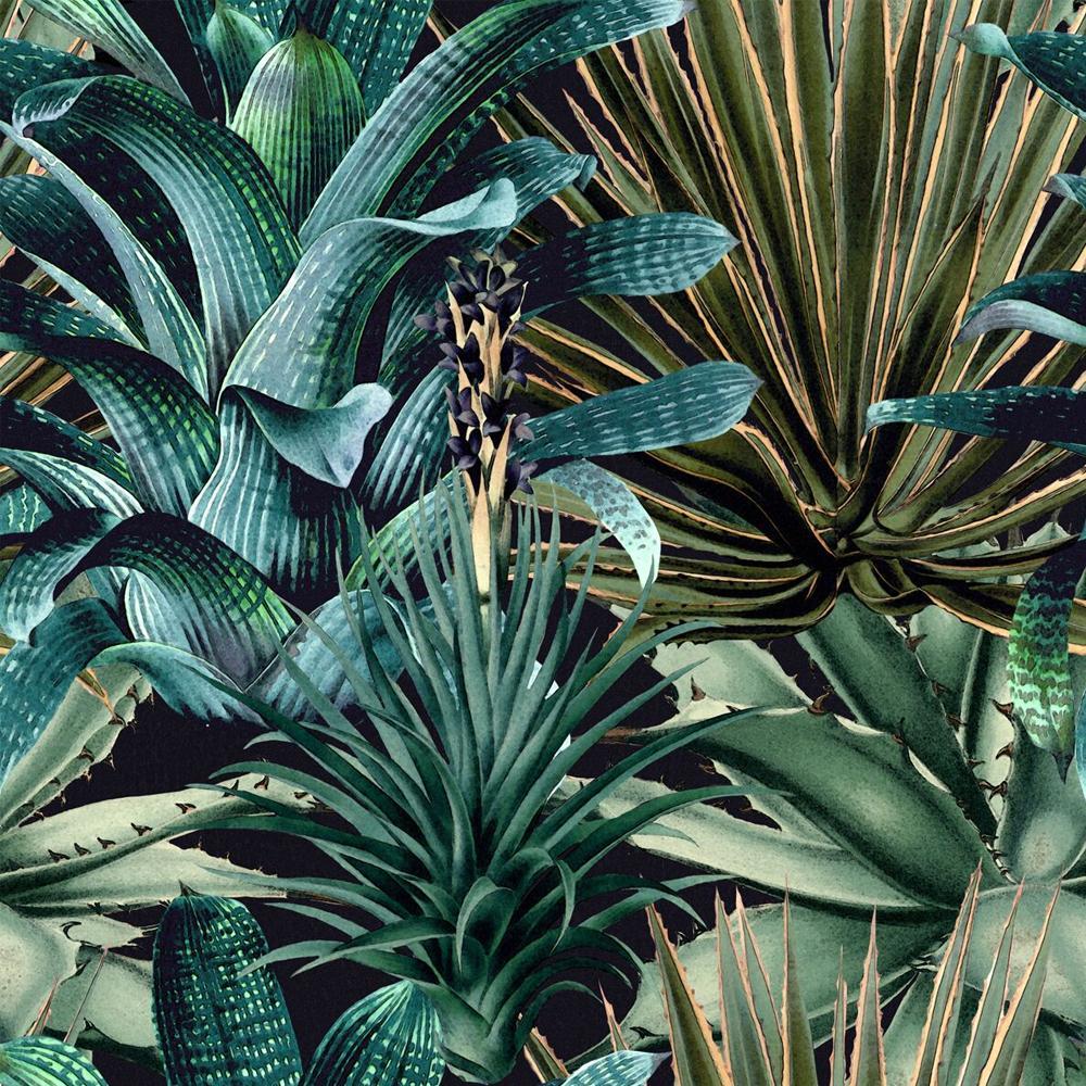 1000x1000 Lush Succulents Wallpaper