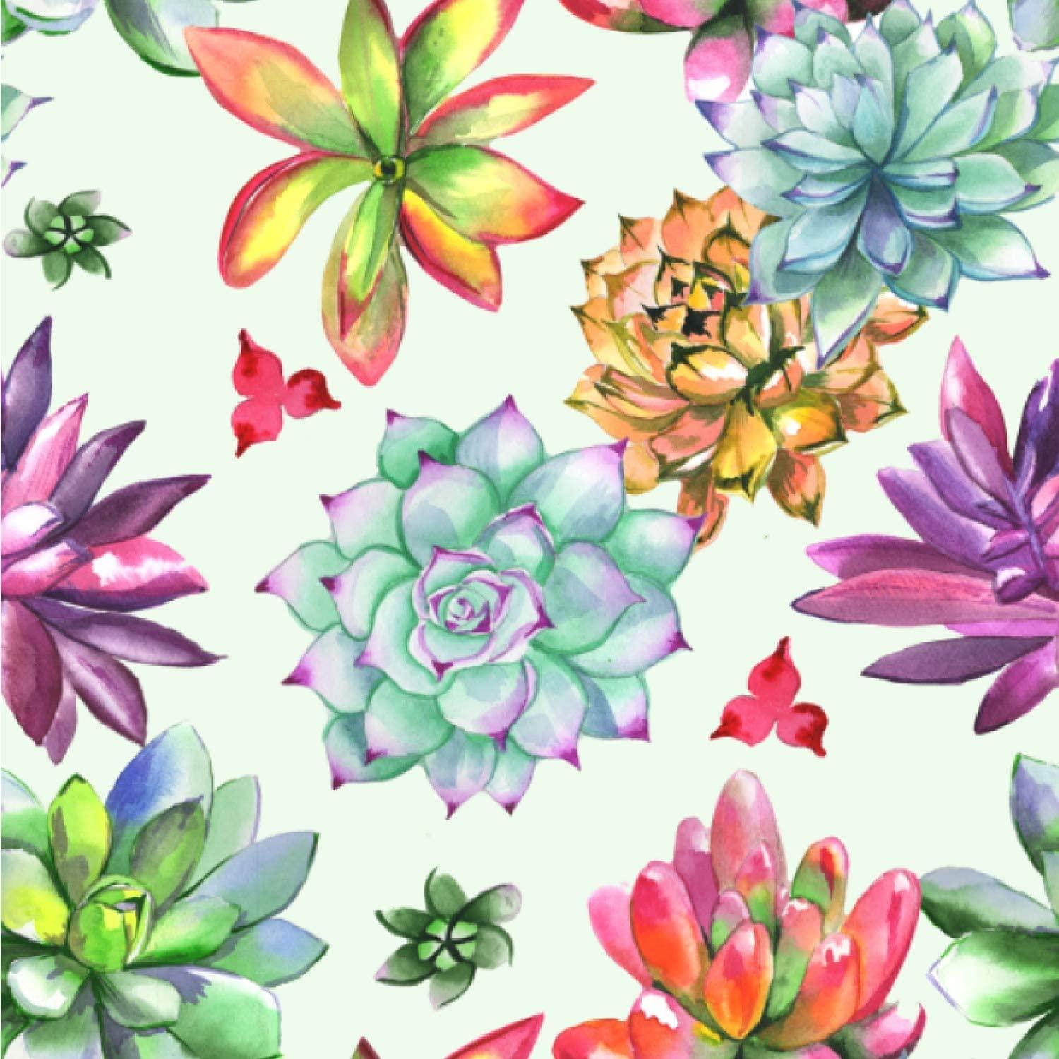 1500x1500 YouCustomizeIt Succulents Wallpaper & Surface Covering (Water Activated 24x 24 Sample): Furniture & Decor