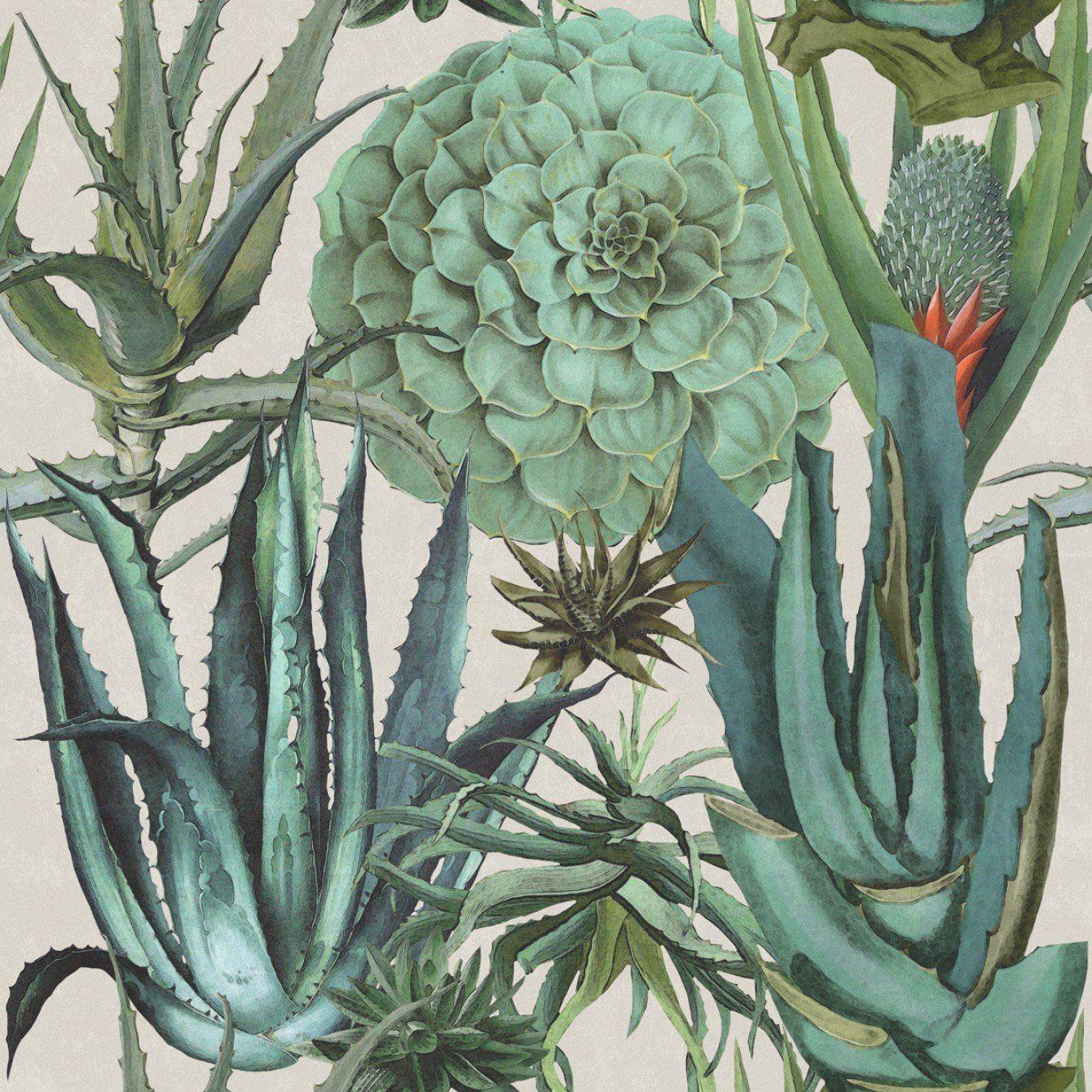 1340x1340 Succulents Wallpaper in Taupe and Green from the Rediscovered Paradise