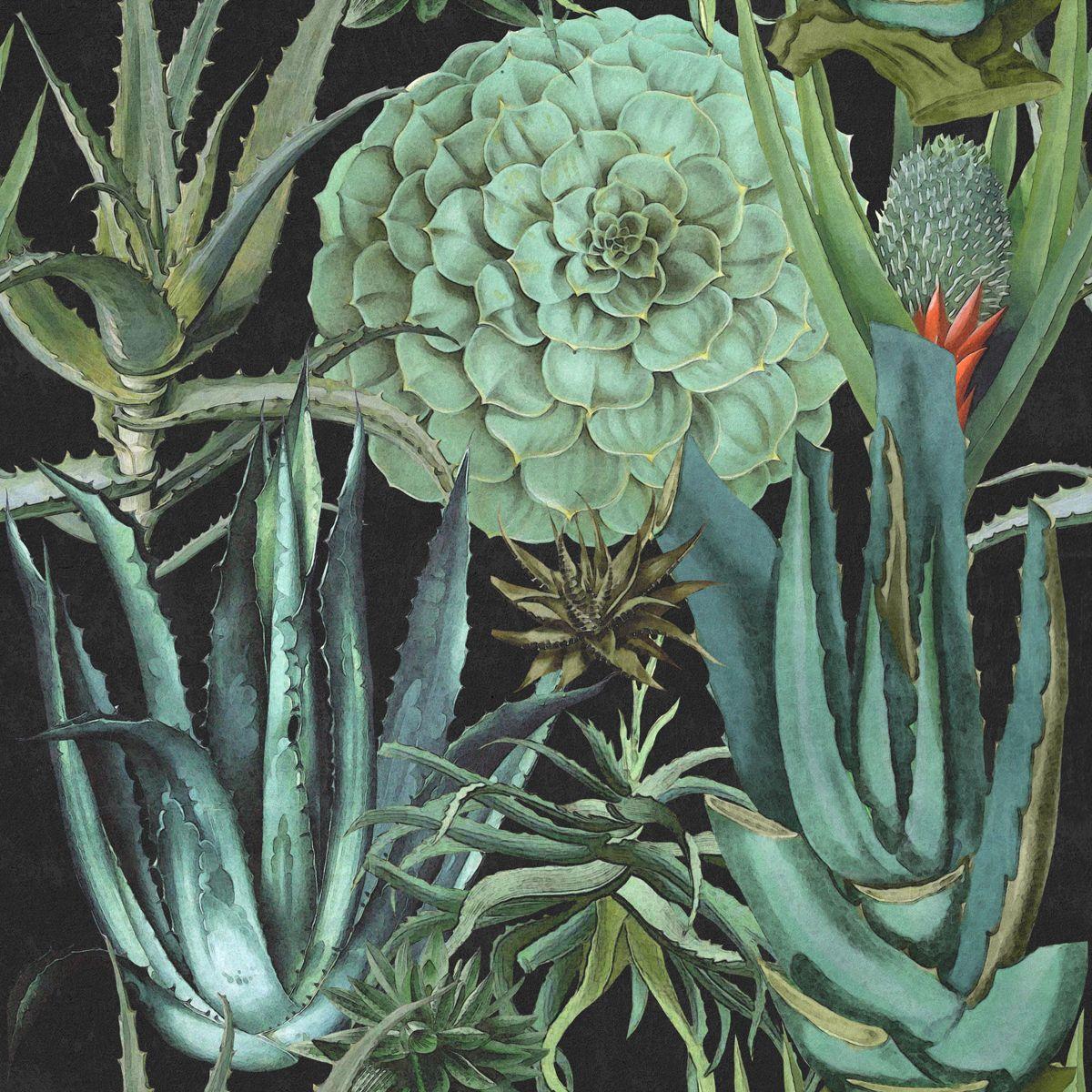 1200x1200 Succulents Anthracite Wallpaper from The Gifted Few