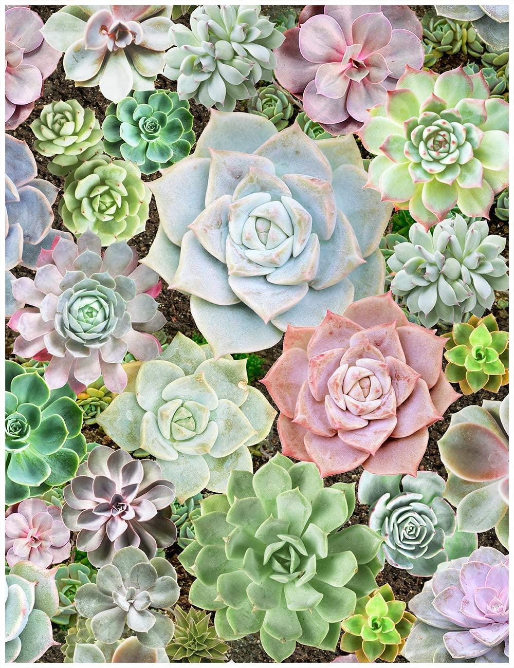 1000x1300 HaokHome 93023 Succulent Peel And Stick Floral Wallpaper Removable Green Pink Purple Vinyl Self Adhesive Decorative 17.7in X 9.8ft