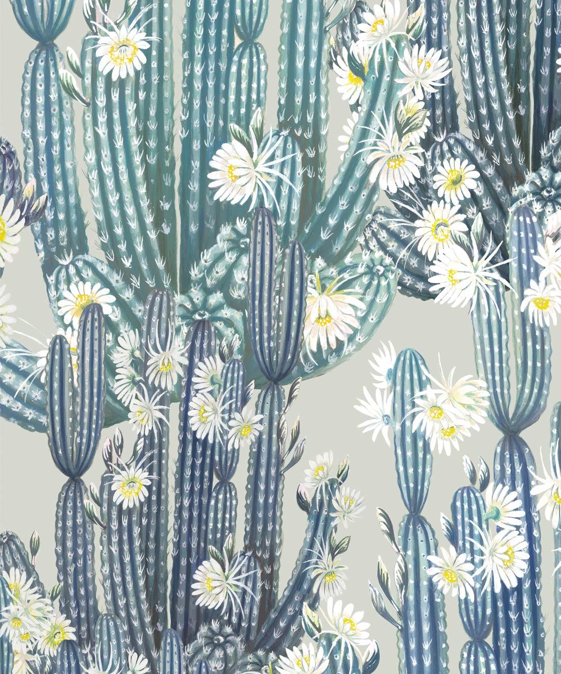 1100x1320 San Pedro Wallpaper • Cactus Wallpaper USA
