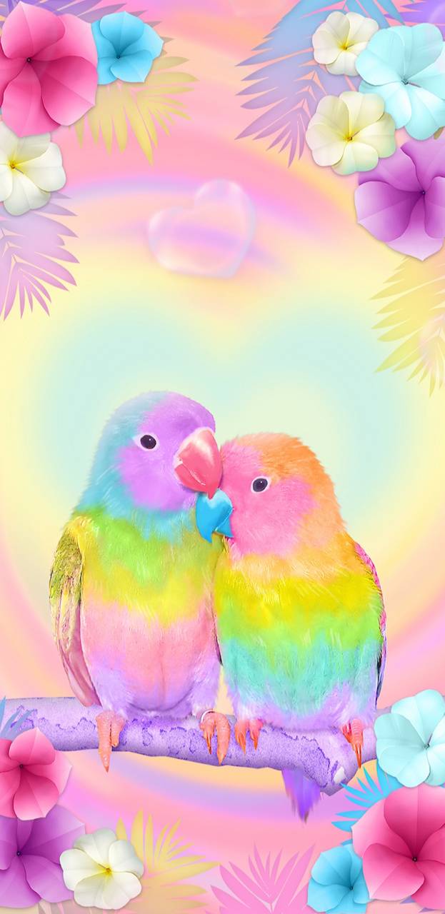 623x1280 Lovebirds hình nền