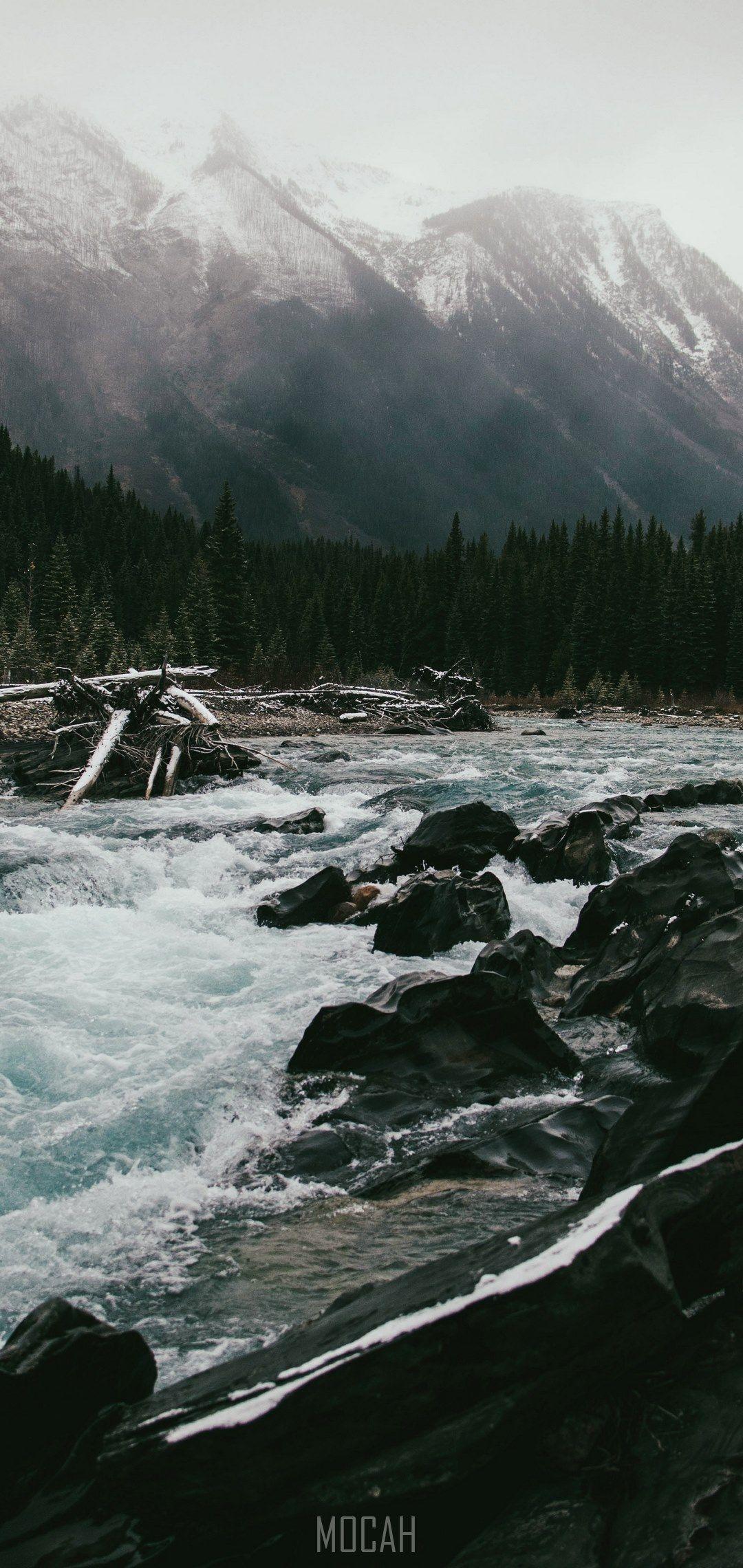 1080x2280 Nokia 8.1 HD wallpaper, Background