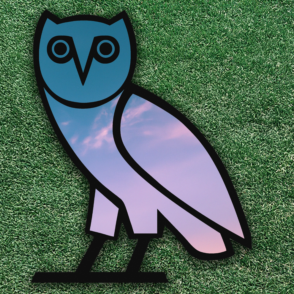 990x990 OVO Mirror's Very Own Drake Wall Decor
