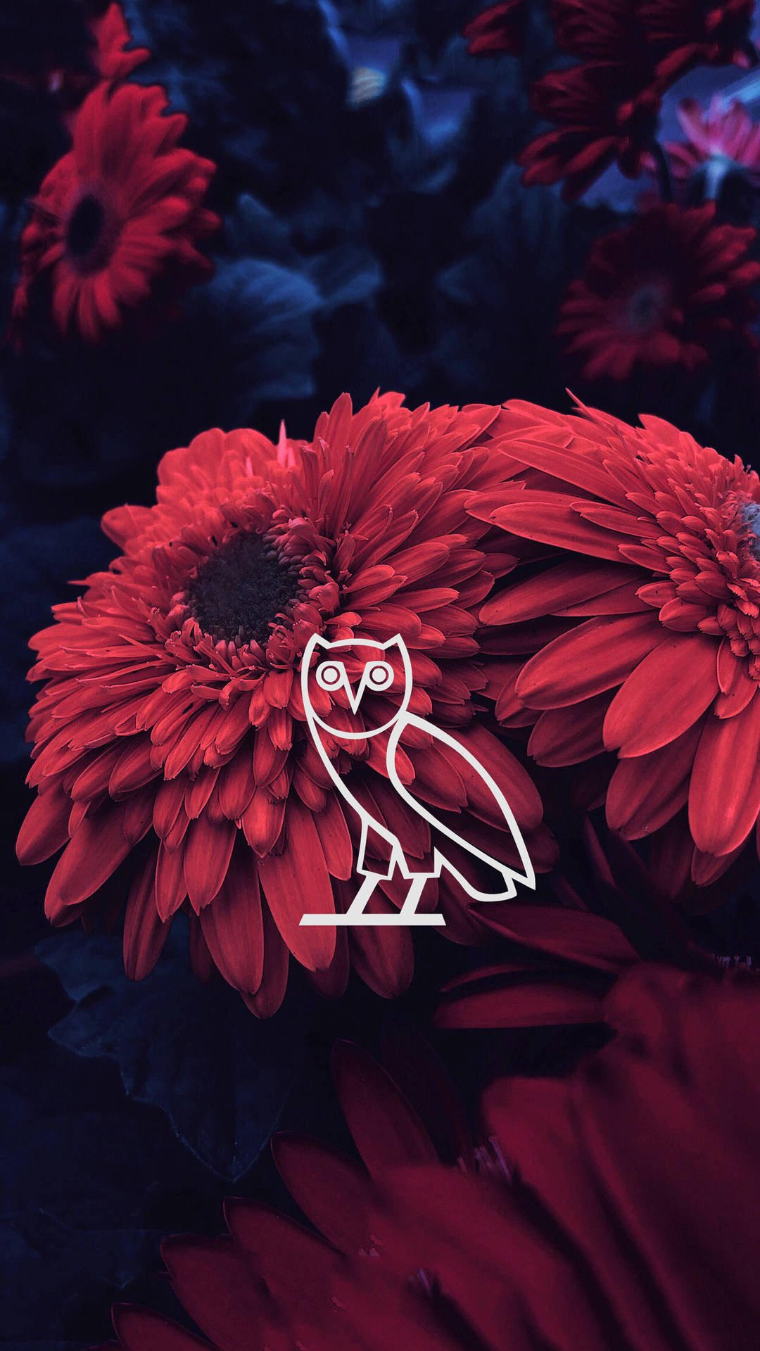 1080x1920 Drake Aesthetic Ovo Wallpaper