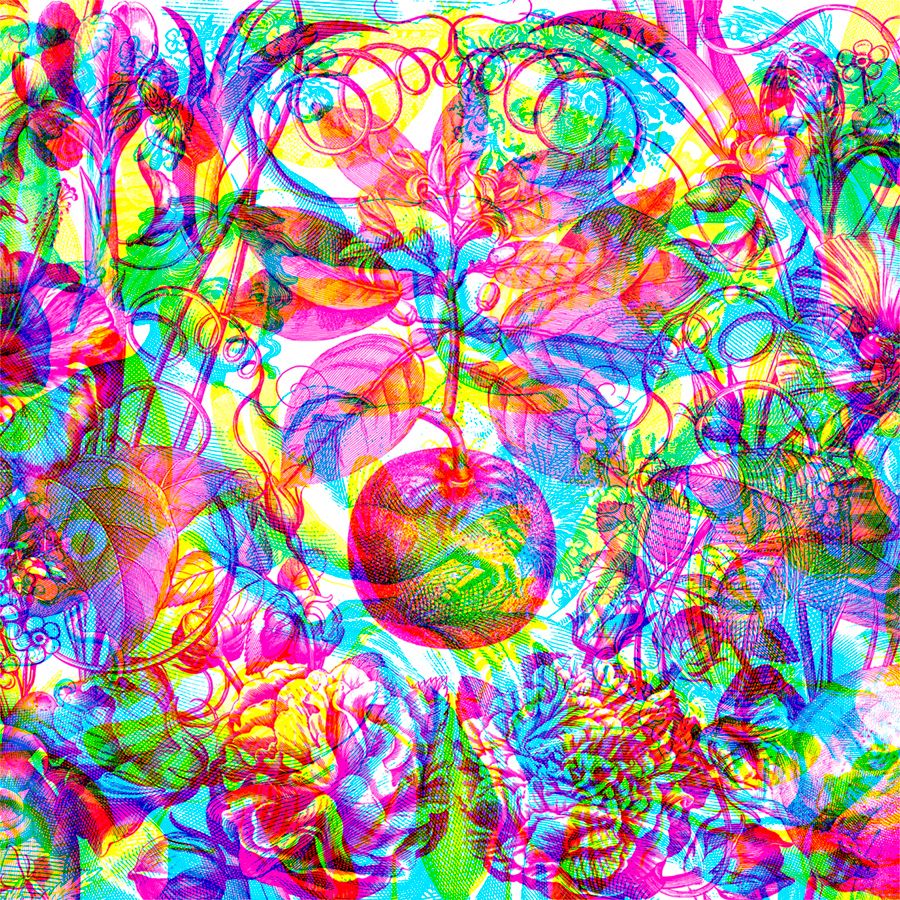 900x900 carnovsky