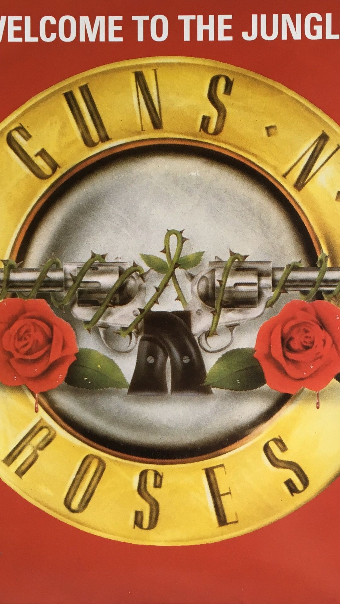 1080x1920 Appetite for Destruction Wallpaper for Android Mobile Smartphone [Full HD]