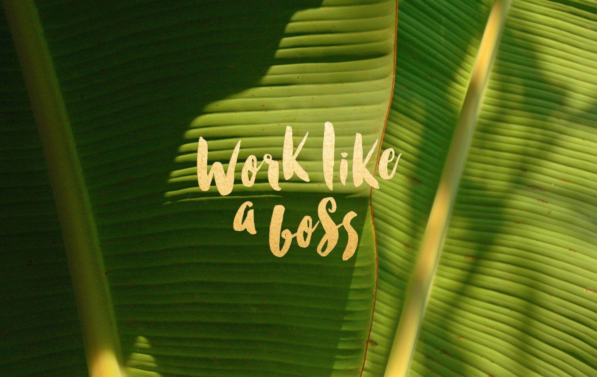 Work Like A Boss Wallpapers - Top Free Work Like A Boss Backgrounds -  WallpaperAccess