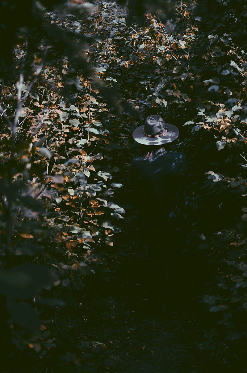 800x1204 Leaves, hat, man, shadow, HD phone wallpaper