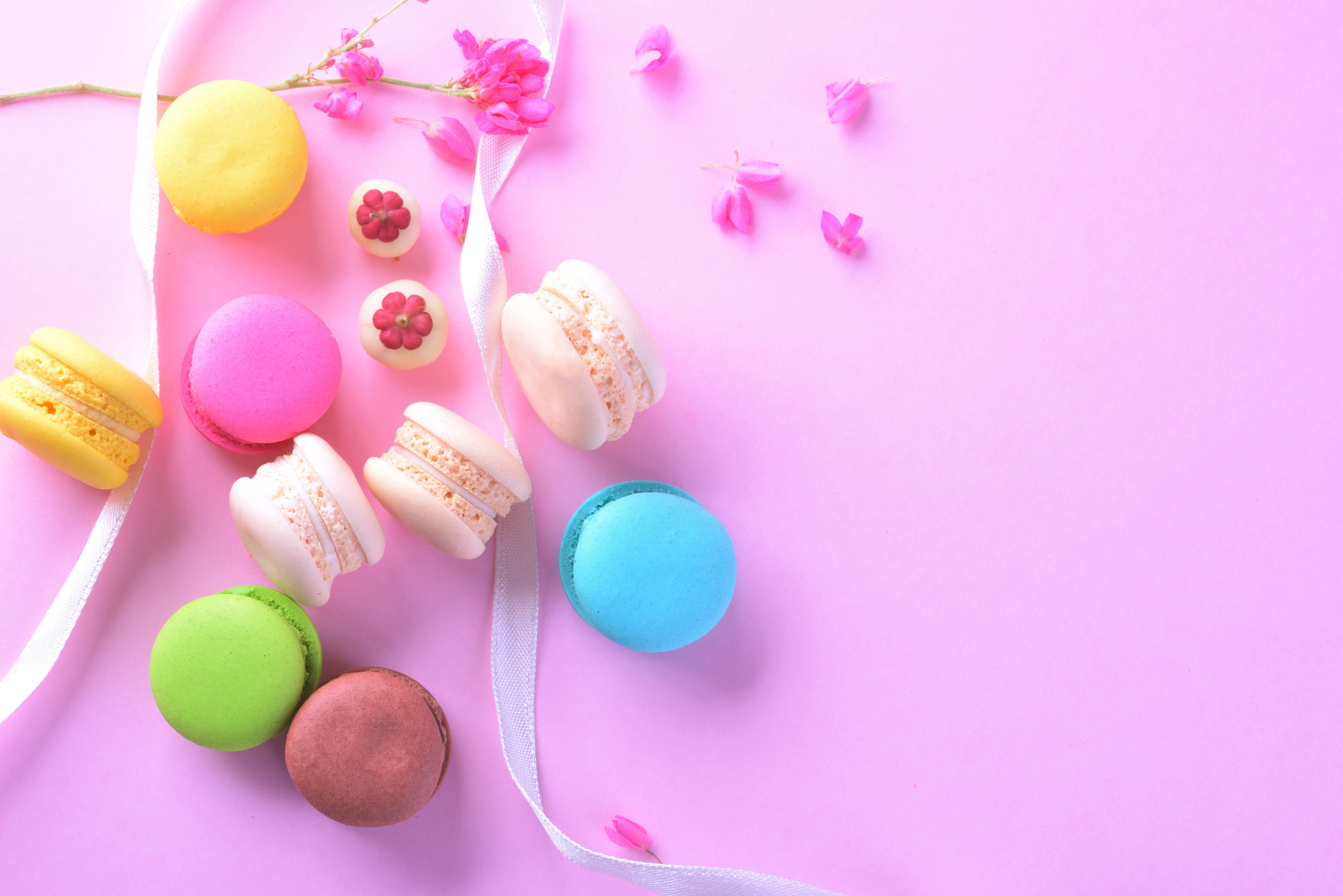 7360x4912 Wallpaper cake, flowers, flowers, dessert, dessert, sweet, french, macaron for mobile and desktop, section еда, resolution 7360x4912