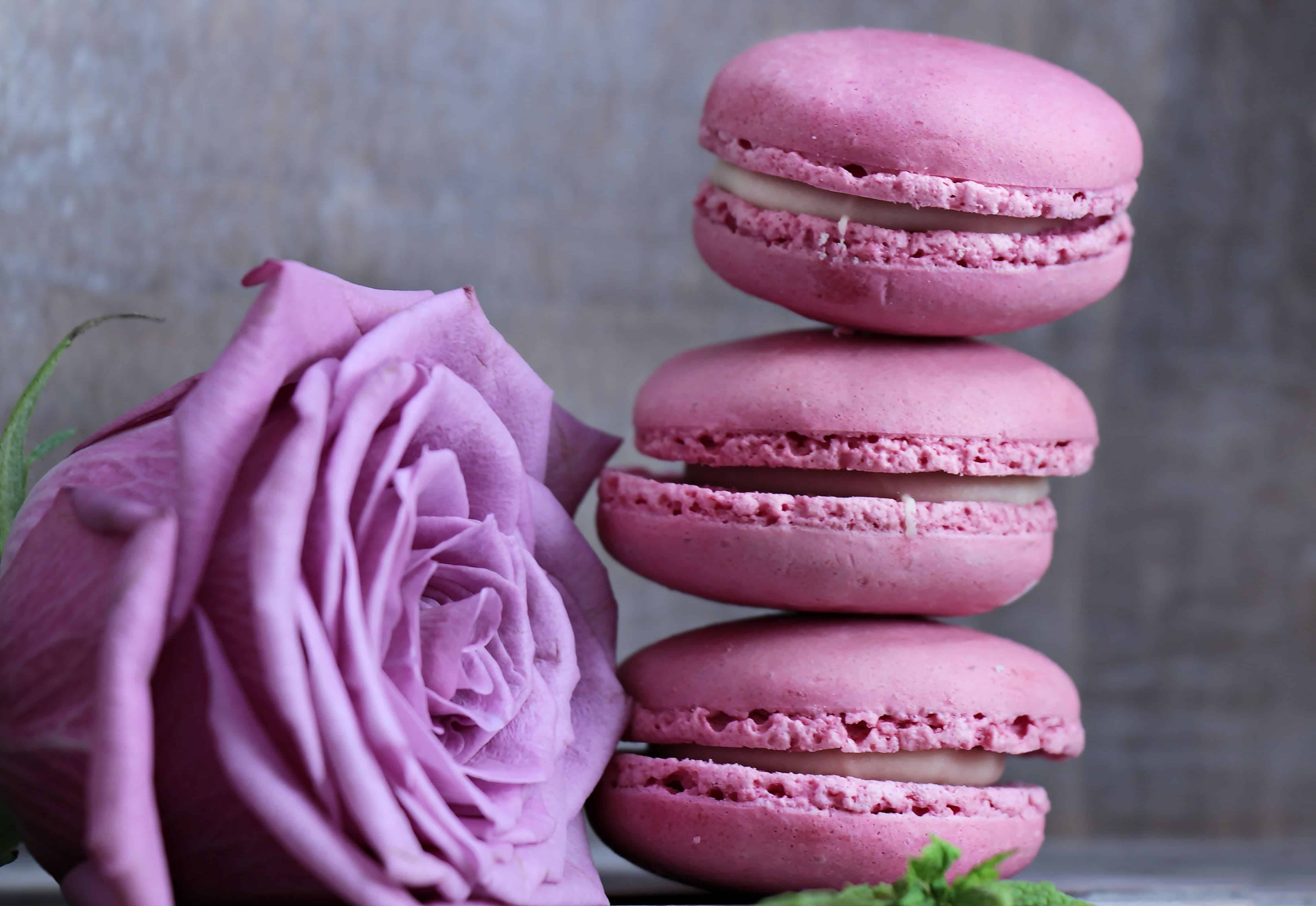 4665x3210 Free picture: flower, rose, cake, sweet, pink, dessert, raspberry, decoration