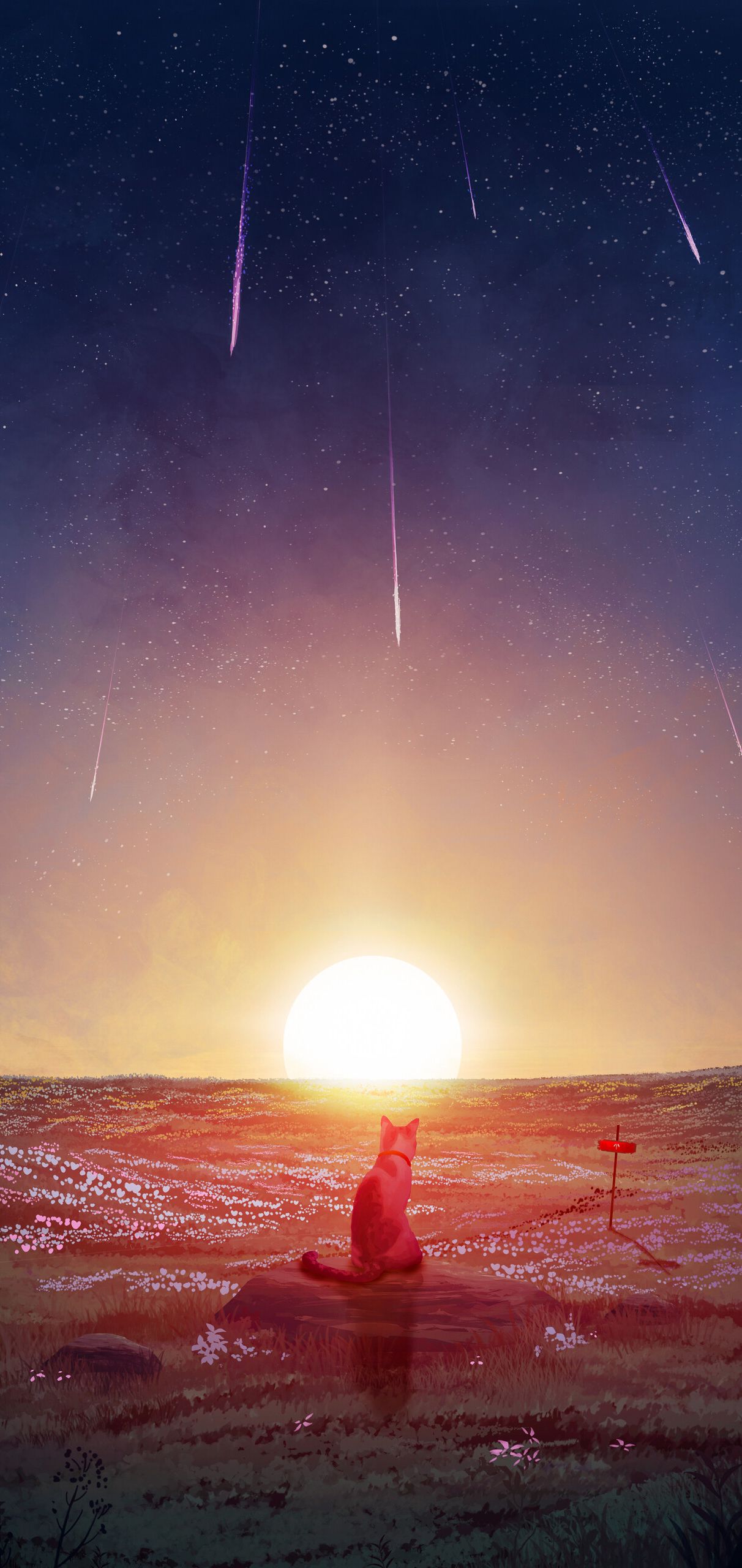 1212x2560 Wallpaper Astronomical Object, Atmosphere, Sun, Horizon, Space, Background Free Image