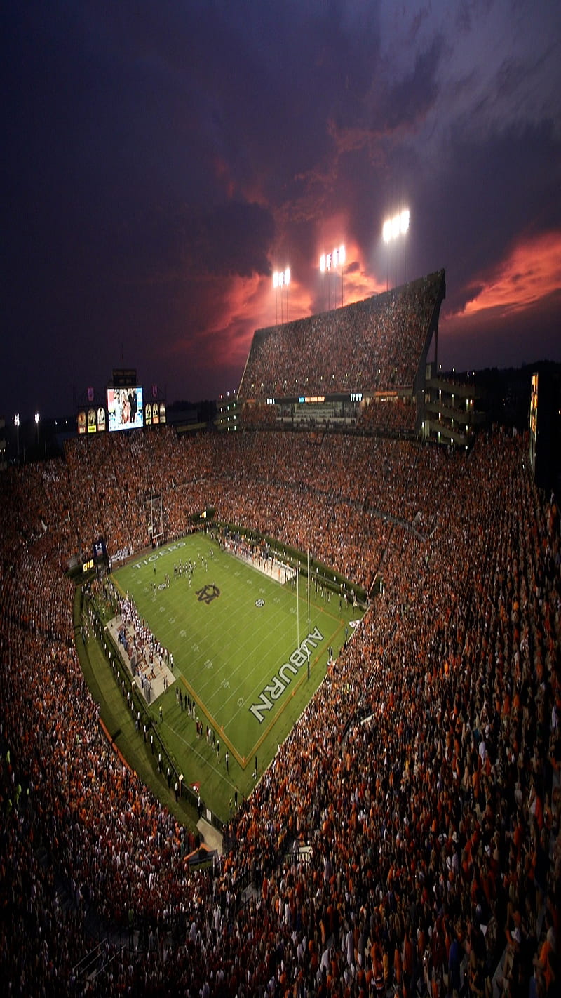 800x1422 HD tiger stadium wallpaper