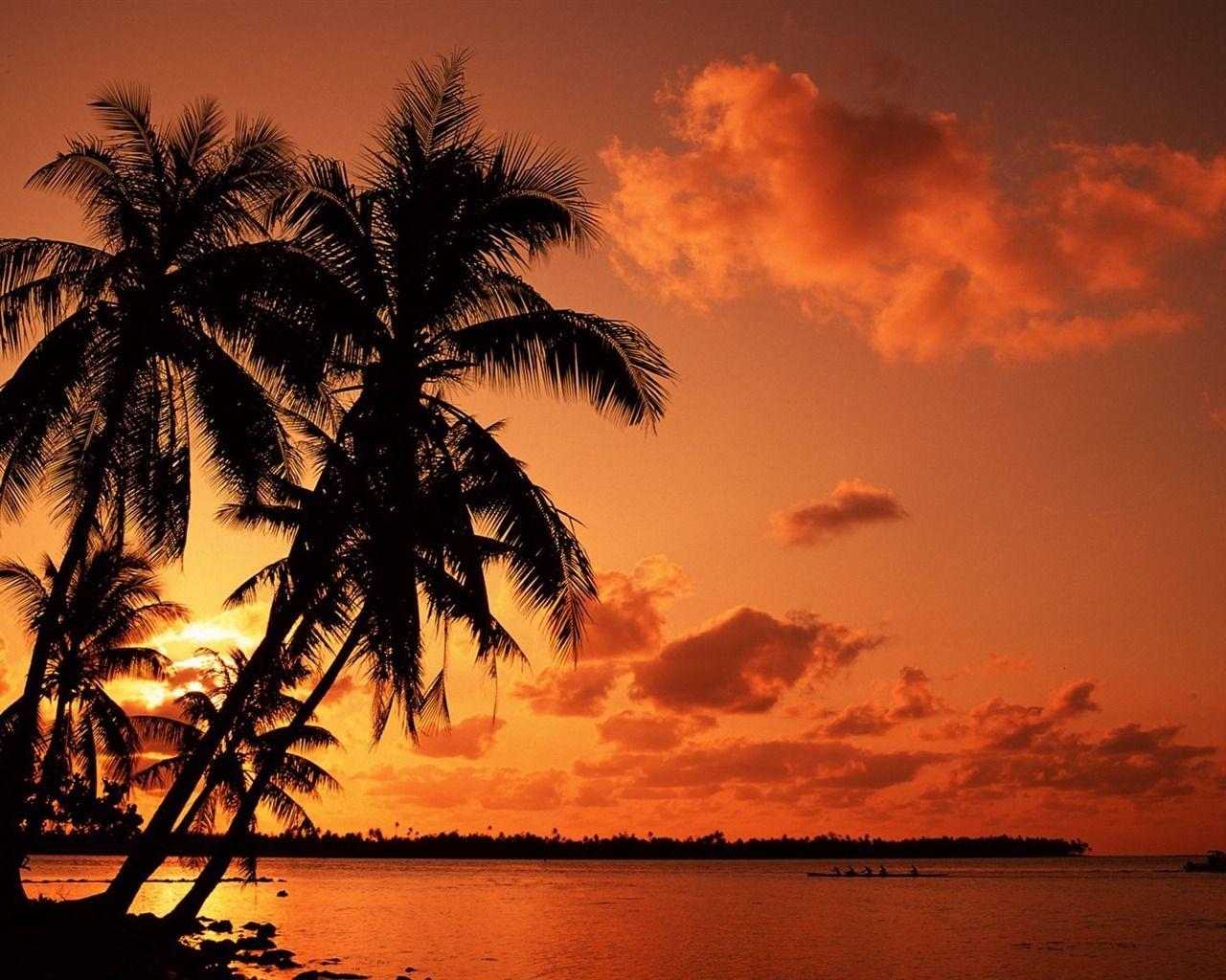 1280x1024 Palm Trees Beach Wallpaper