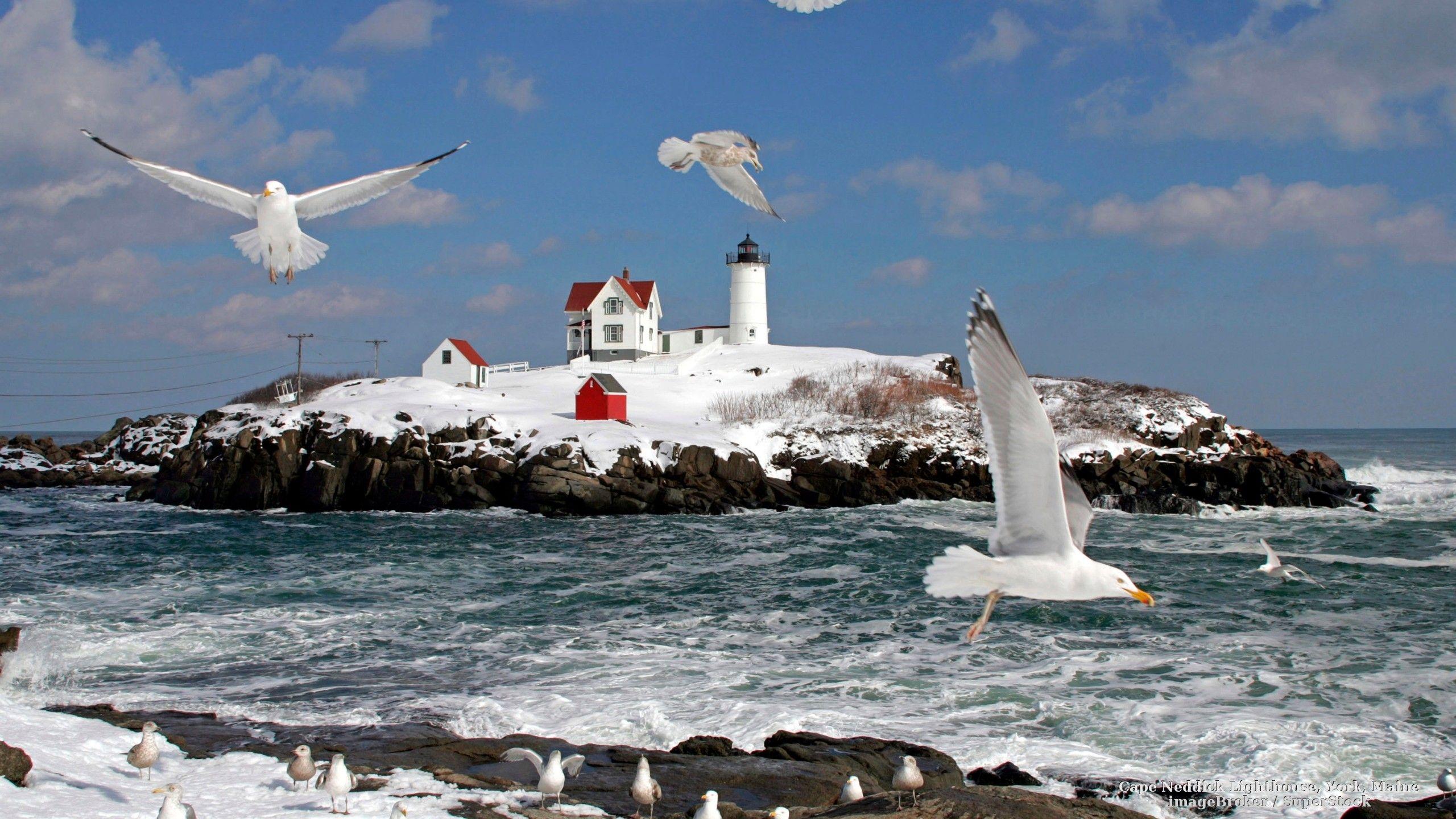 Maine Wallpapers - Top Free Maine Backgrounds - WallpaperAccess