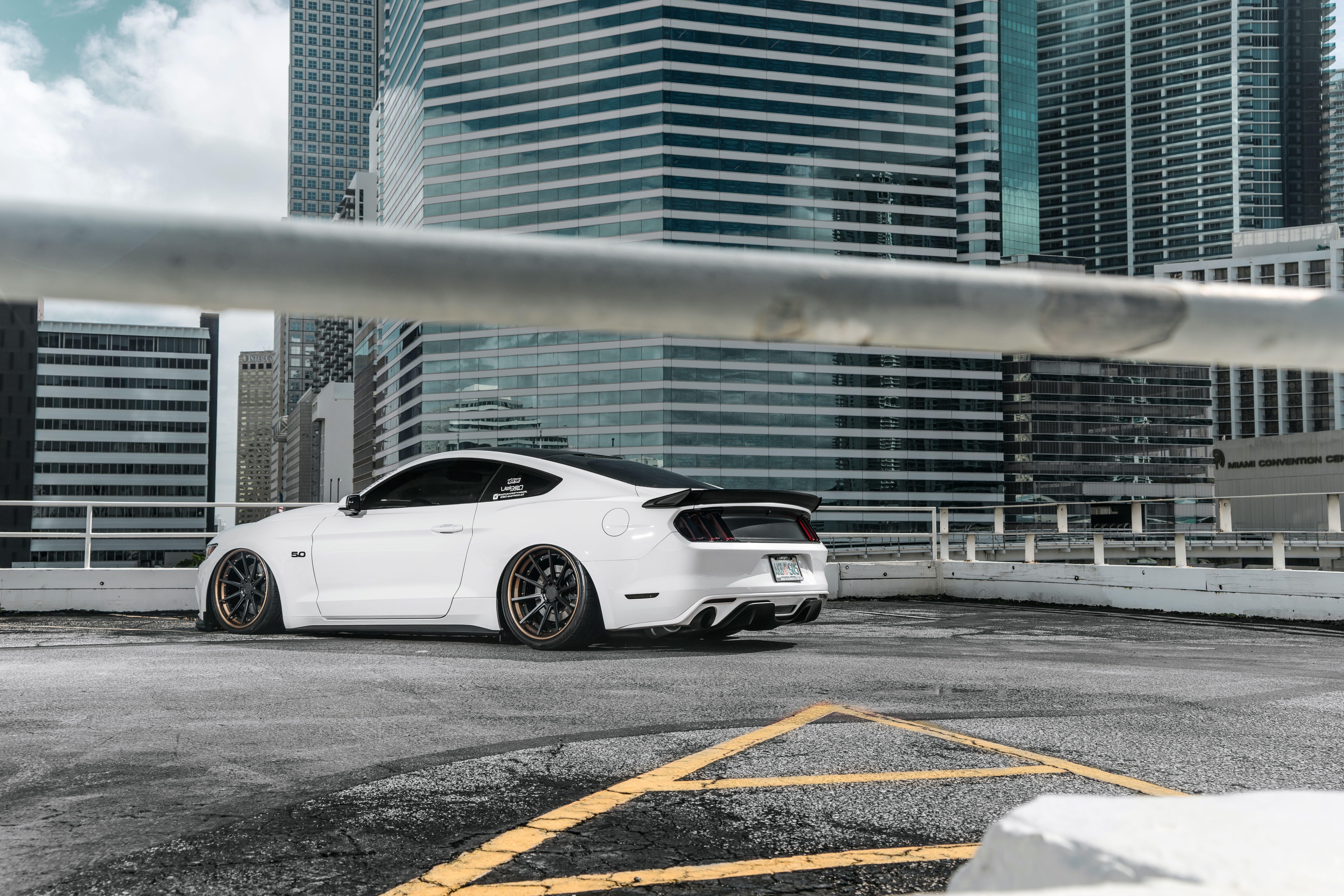 7205x4803 Mustang S HD Cars, 4k Wallpaper, Image, Background, Photo and Picture