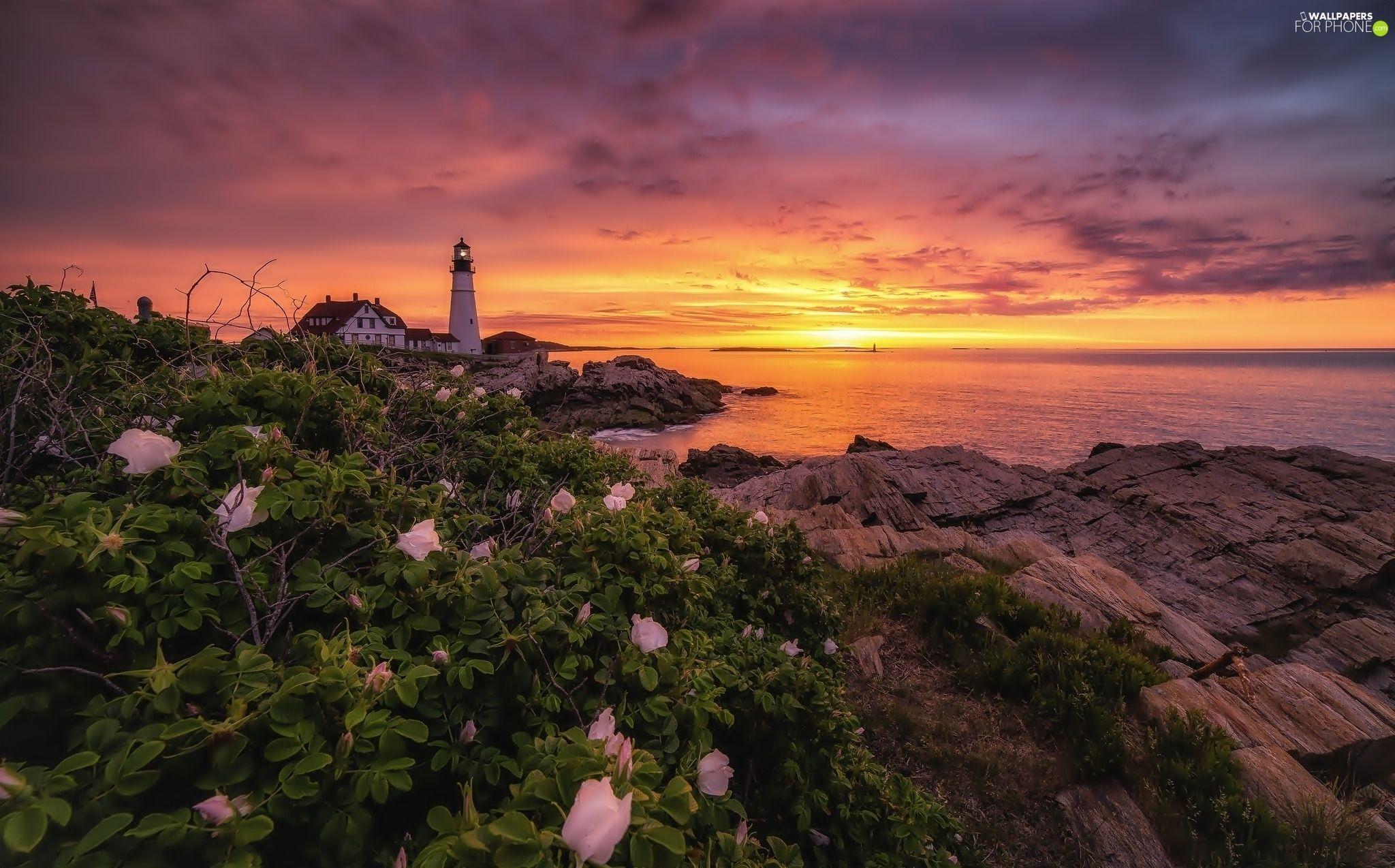 Maine HD Wallpapers - Top Free Maine HD Backgrounds - WallpaperAccess