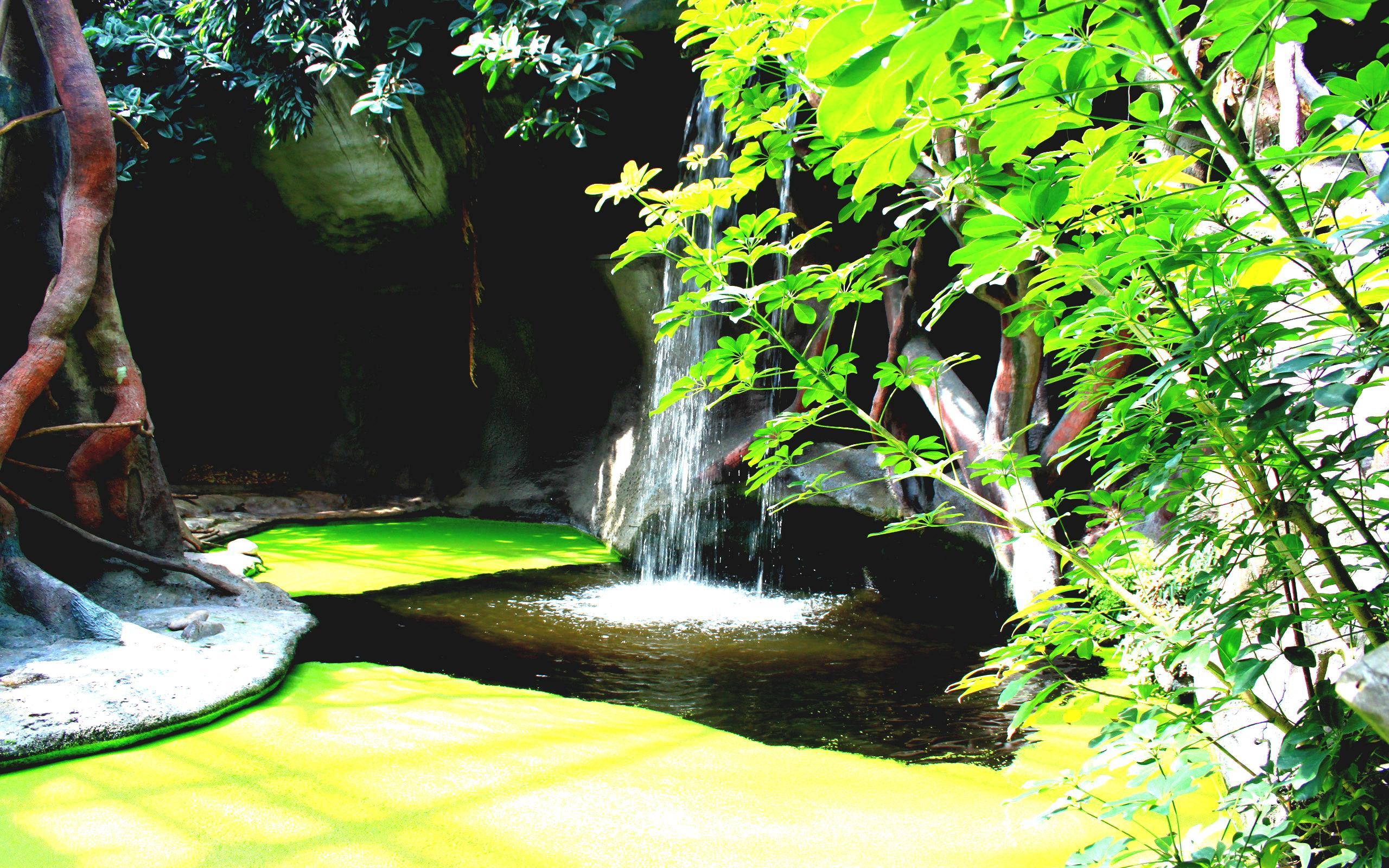 2560x1600 Garden Full HD Beautiful Wallpaper Free Download Beguiling