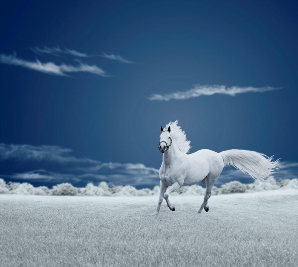 Blue Horse Wallpapers - Top Free Blue Horse Backgrounds - WallpaperAccess