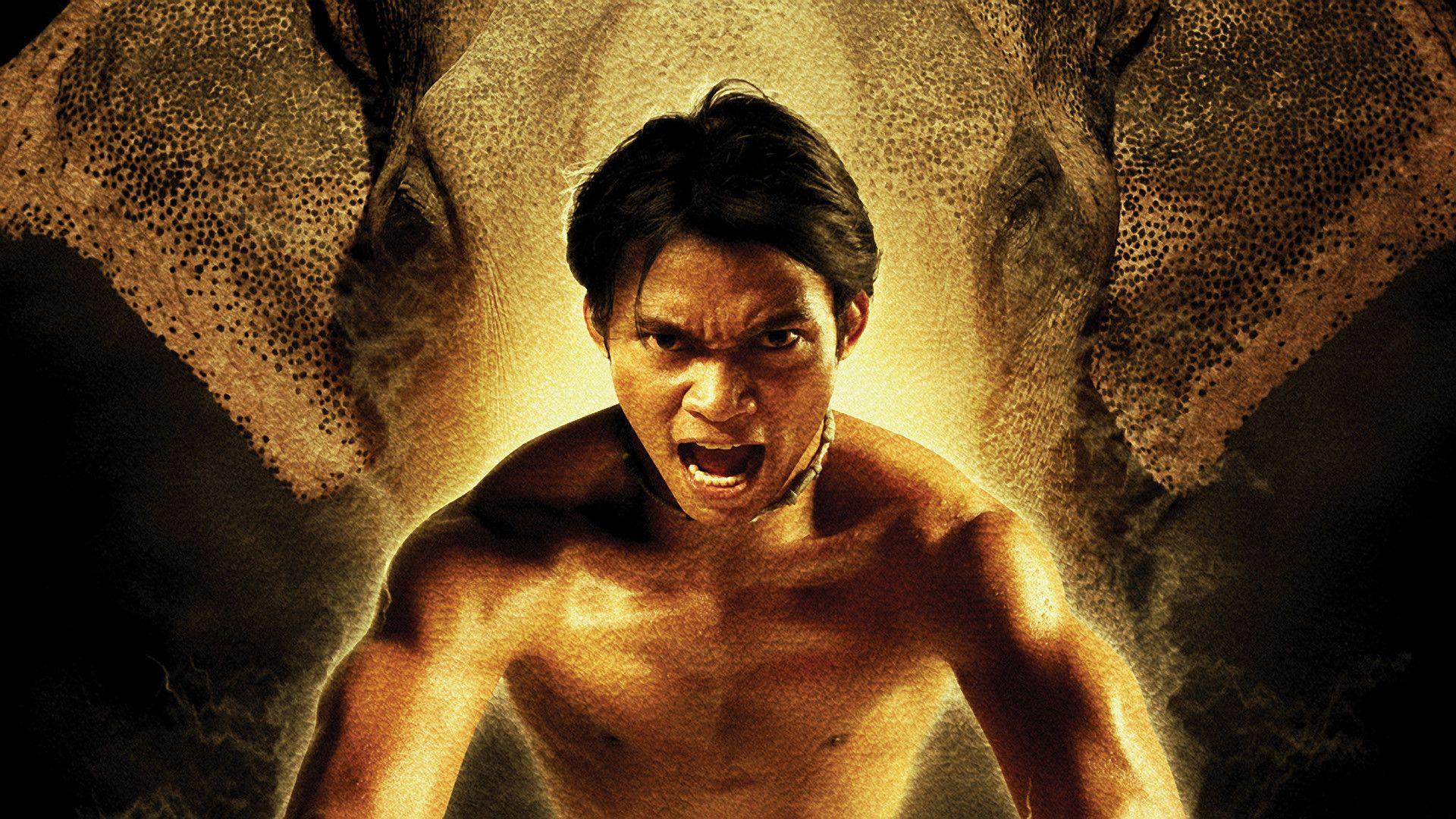 1920x1080 Free download Tony Jaa Wallpaper High Resolution and Quality Download [1920x1080] for your Desktop, Mobile & Tablet. Explore Ong Bak Wallpaper. Ong Bak Wallpaper, Ong Seong Wu Wallpaper